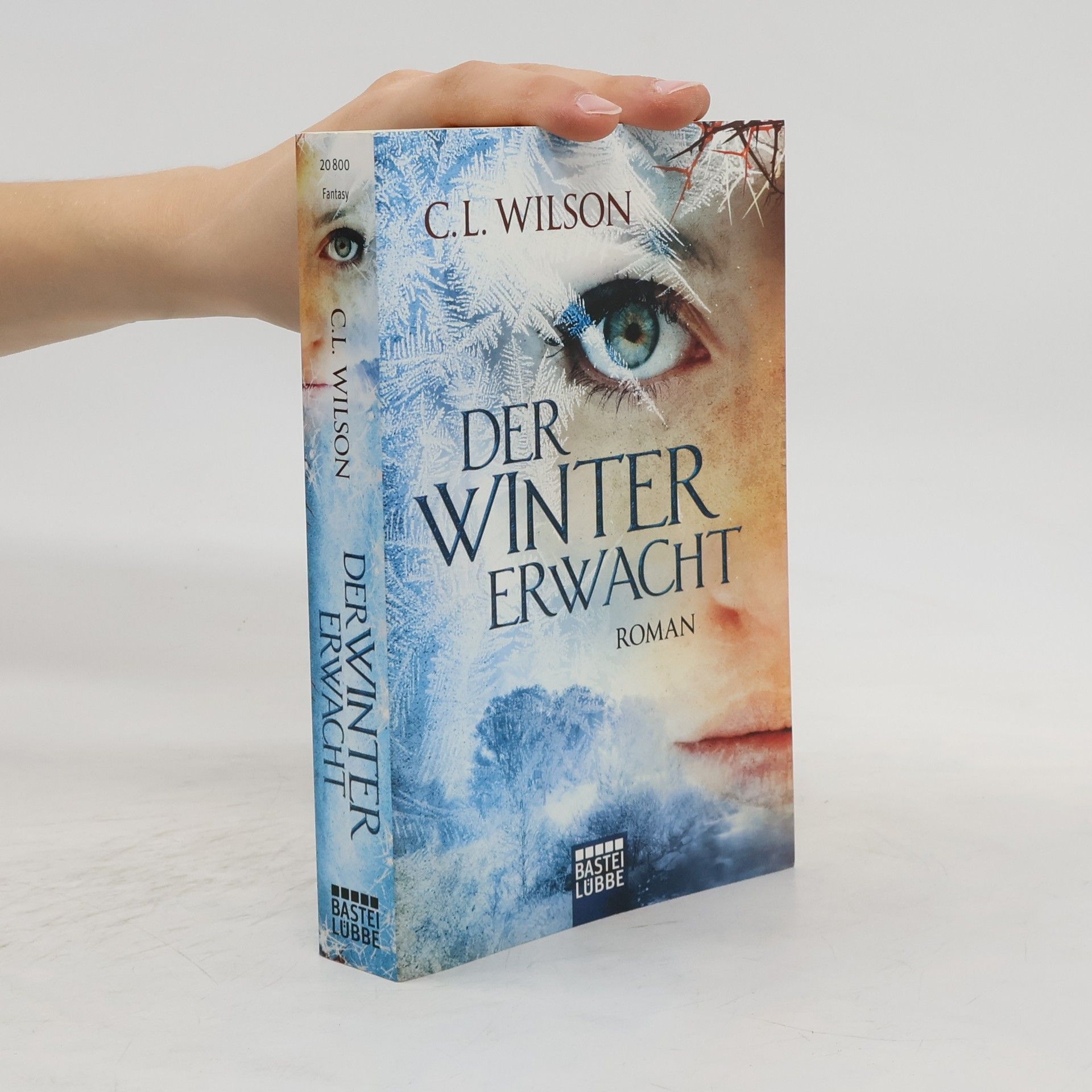 C. L. Wilson Der Winter Erwacht