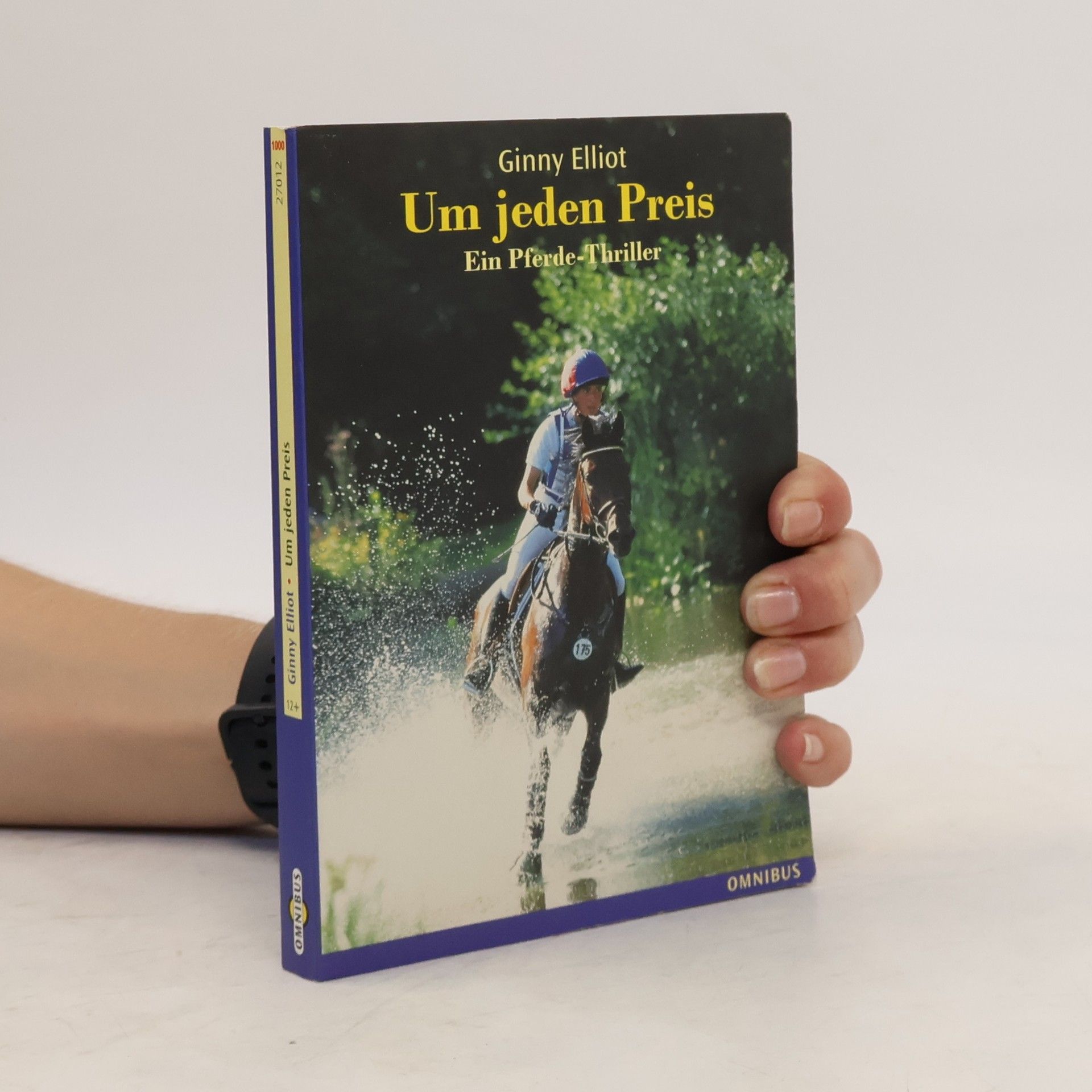 Ginny Elliot Um jeden Preis