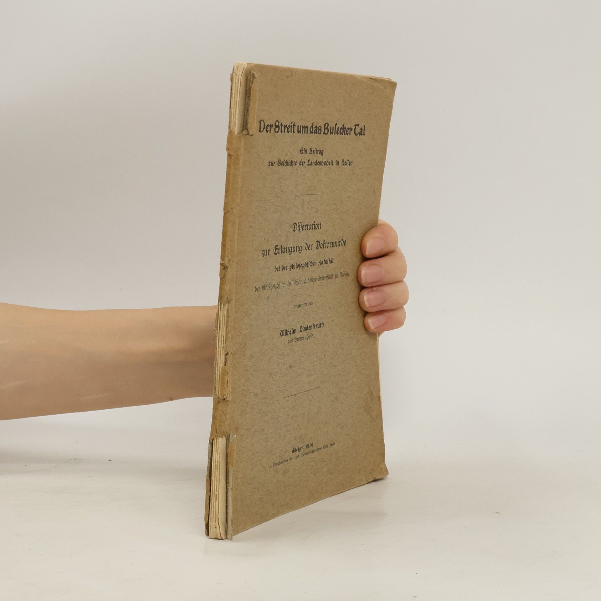 Wilhelm Lindenstruth Der Streit um das Busecker Tal