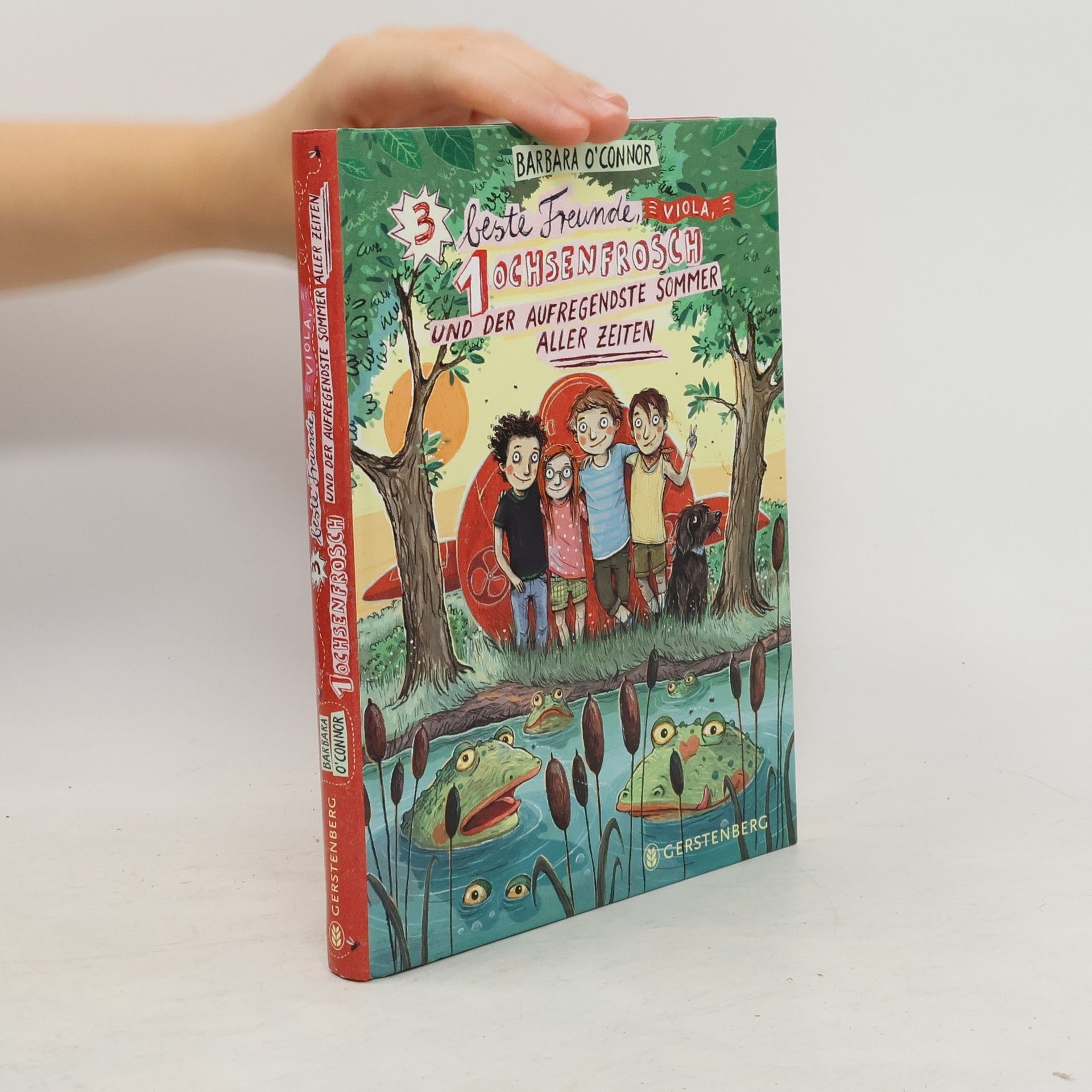 Barbara O'Connor 3 beste Freunde, Viola, 1 Ochsenfrosch und der aufregendste Sommer aller Zeiten