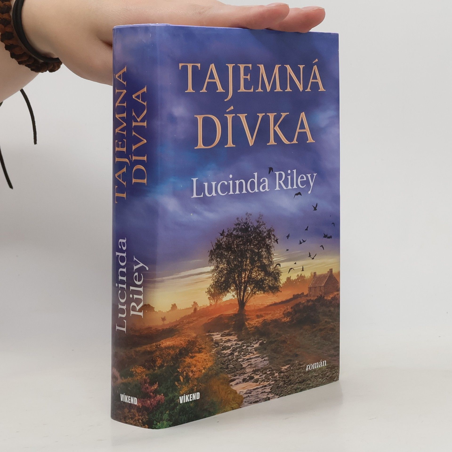 Lucinda Riley Tajemná dívka