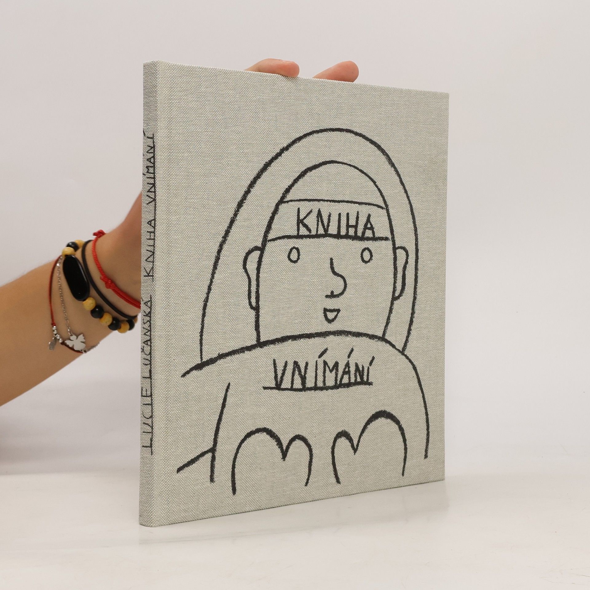 Lucie Lučanská Kniha vnímání