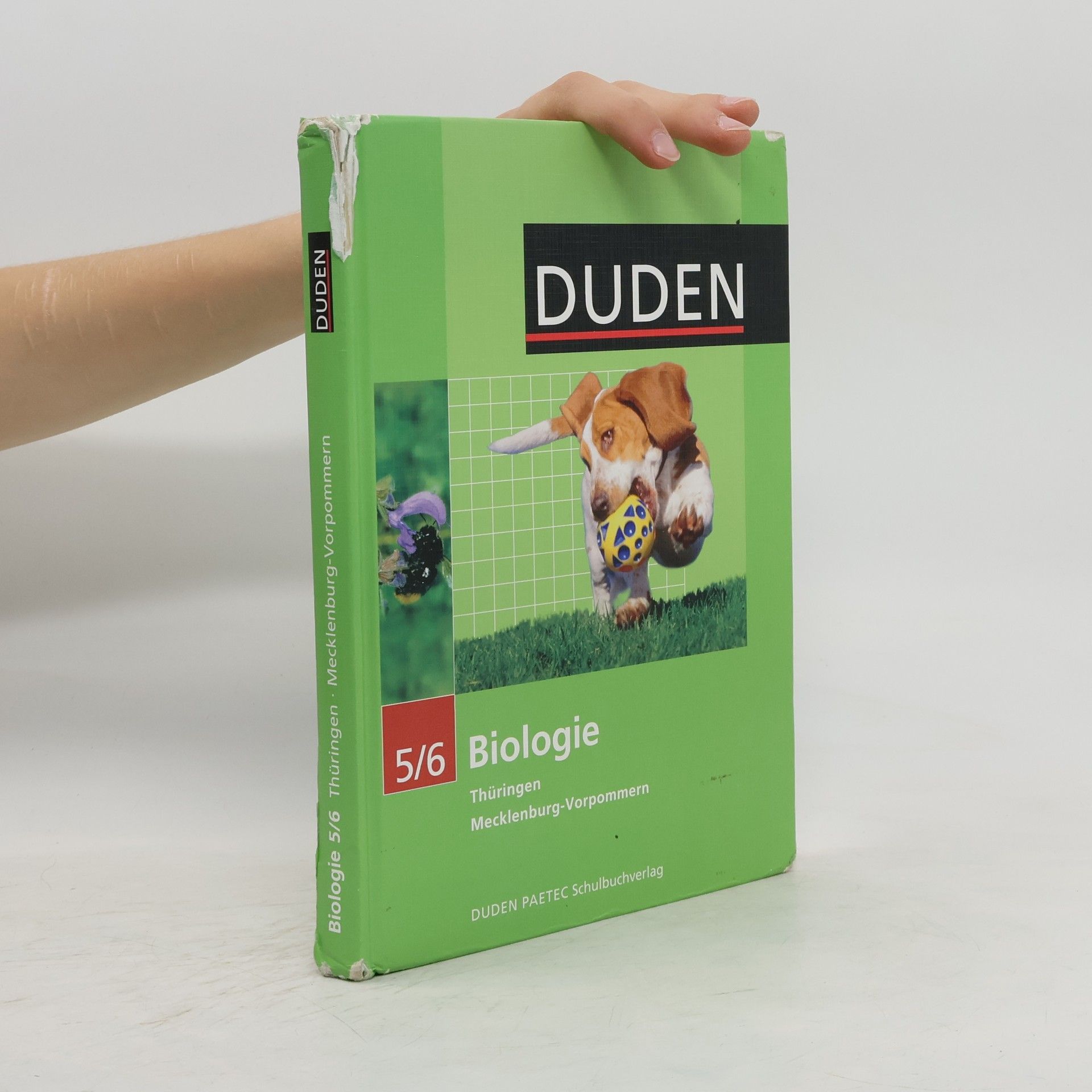 Axel Goldberg 5./6. Klasse, Lehrbuch