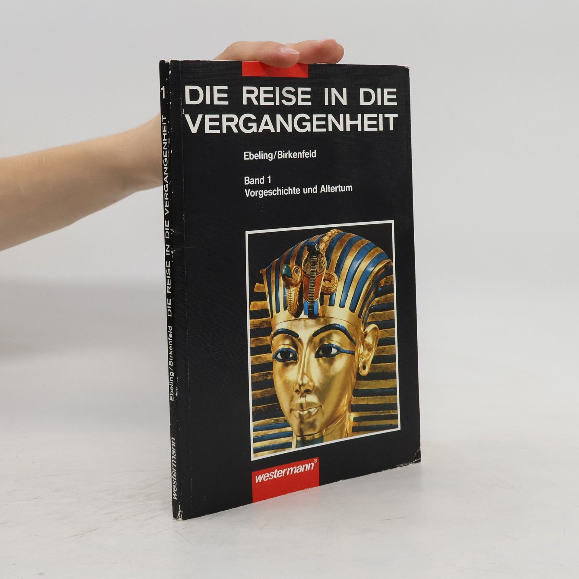 kolektiv Die Reise in die Vergangenheit