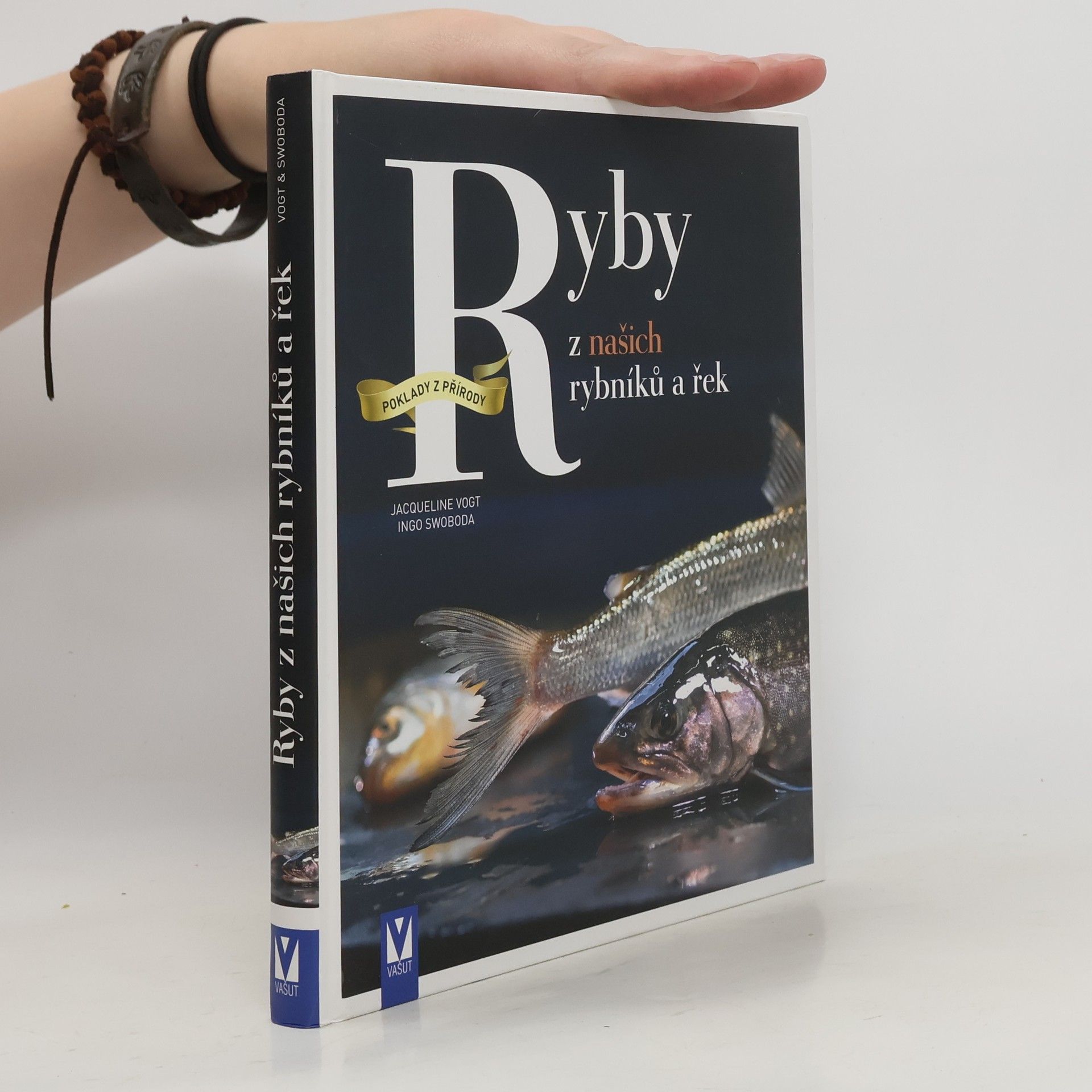 Ingo Swoboda Ryby z našich rybníků a řek