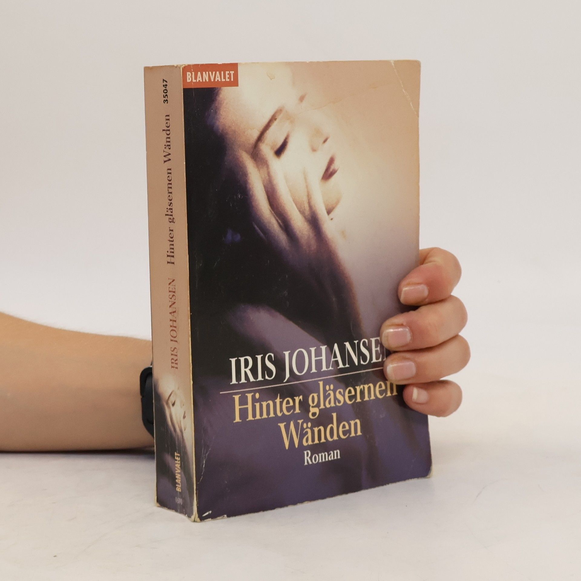 Iris Johansen Hinter gläsernen Wänden