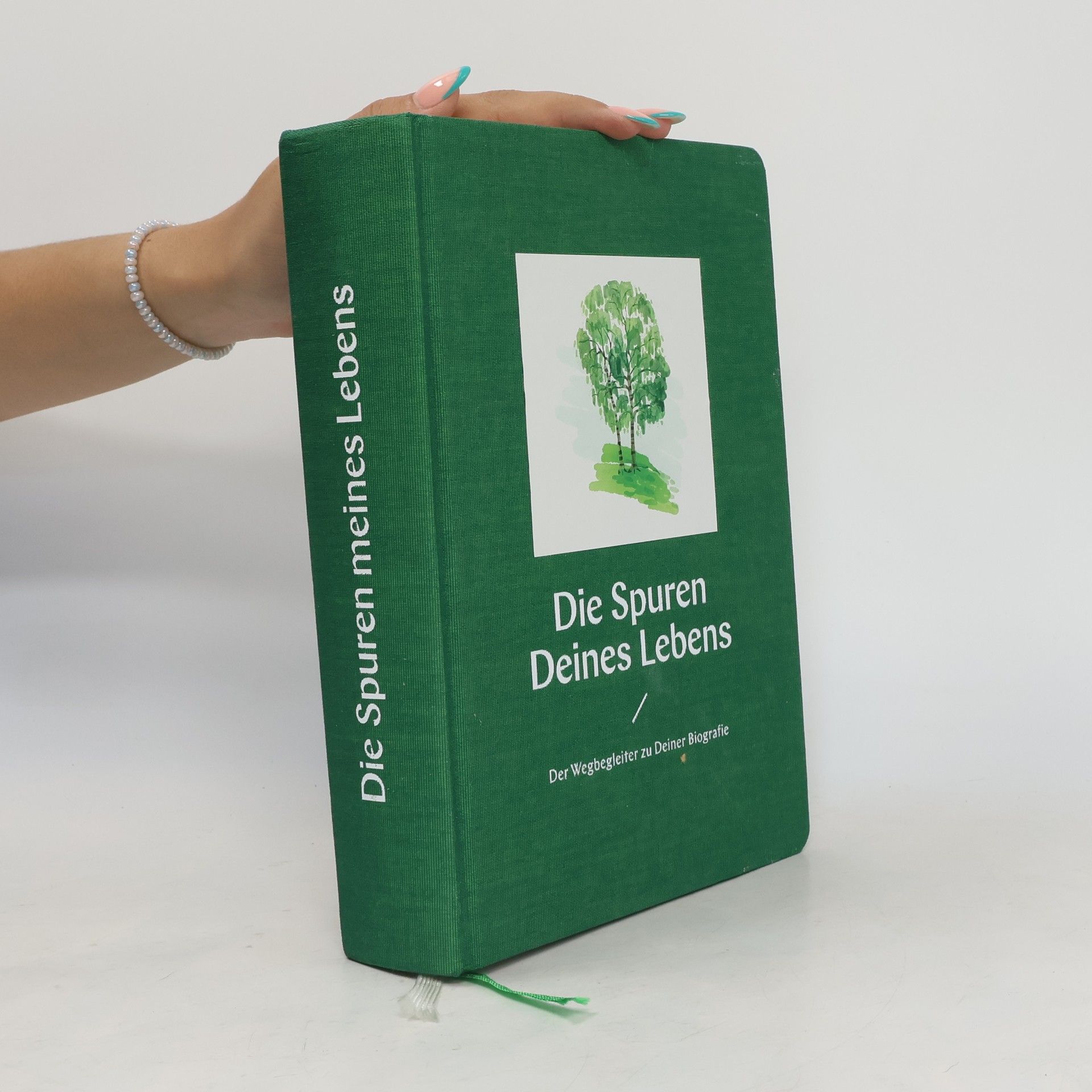 Stephan Gabriel Die Spuren Deines Lebens