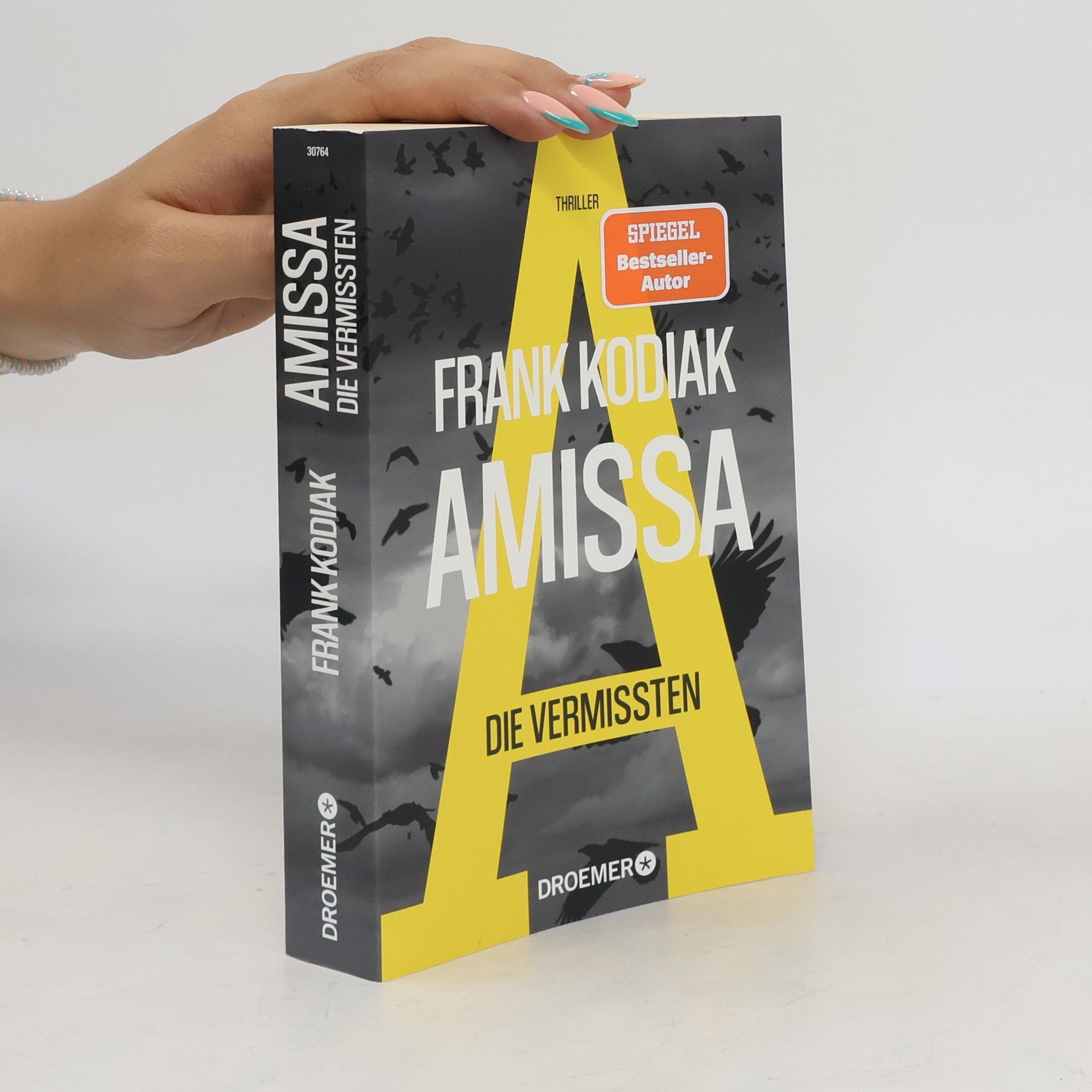 Hendrik Winter Amissa - die Vermissten