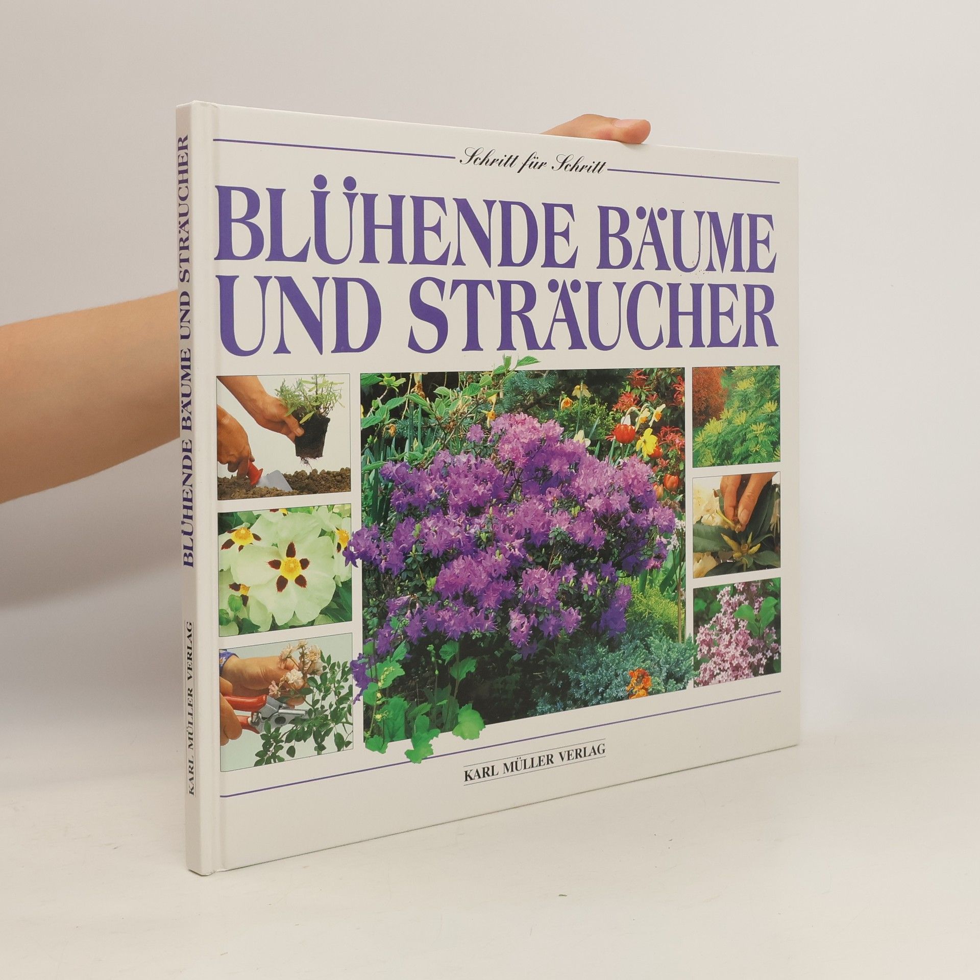Sue Phillips Blühende Bäume und Sträucher