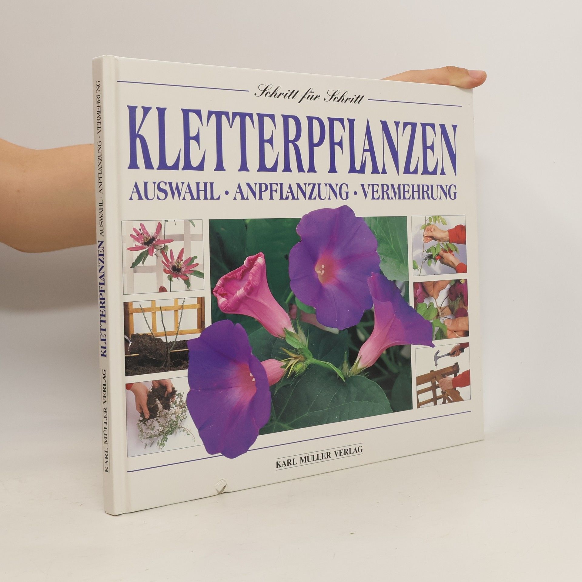 John Feltwell Kletterpflanzen
