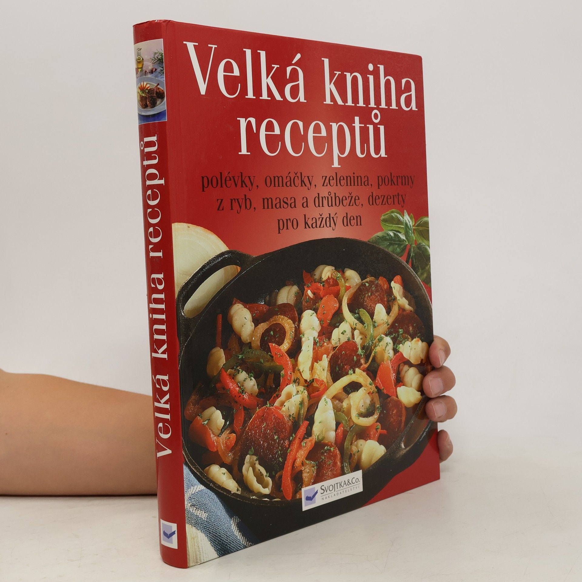 Collectif d'auteurs Velká kniha receptů : polévky, omáčky, zelenina, pokrmy z ryb, masa a drůbeže, dezerty pro každý den