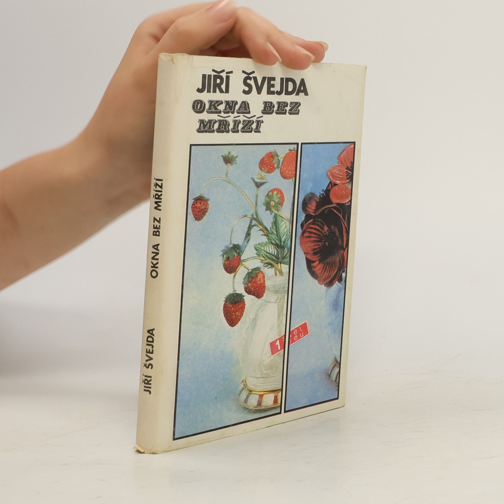 Jiří Švejda Okna bez mříží