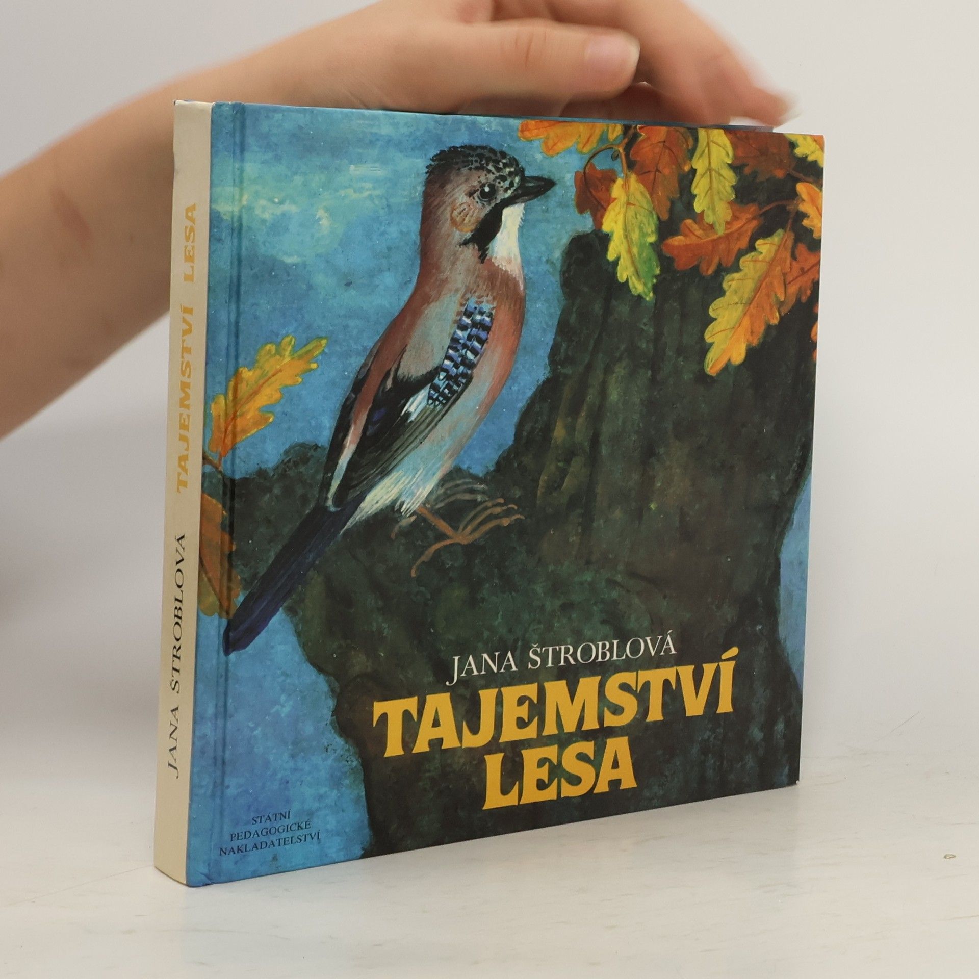 Štroblová Jana Tajemství lesa