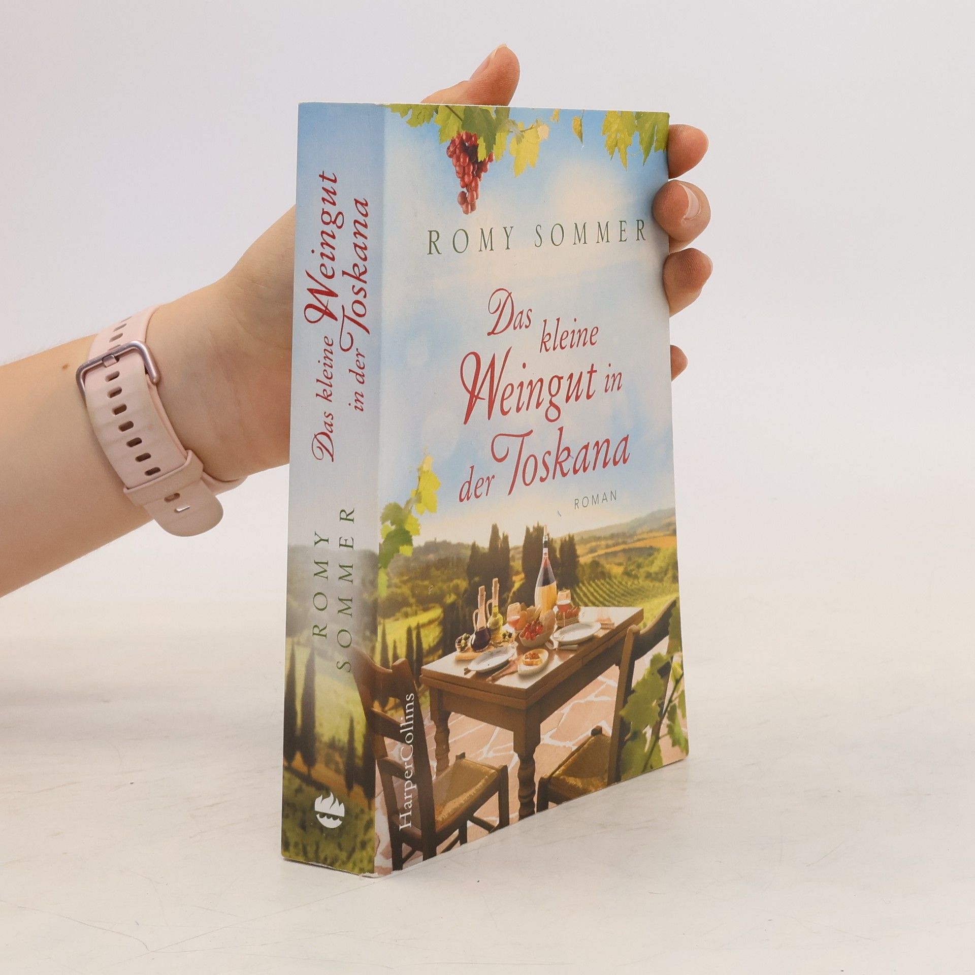 Romy Sommer Das kleine Weingut in der Toskana