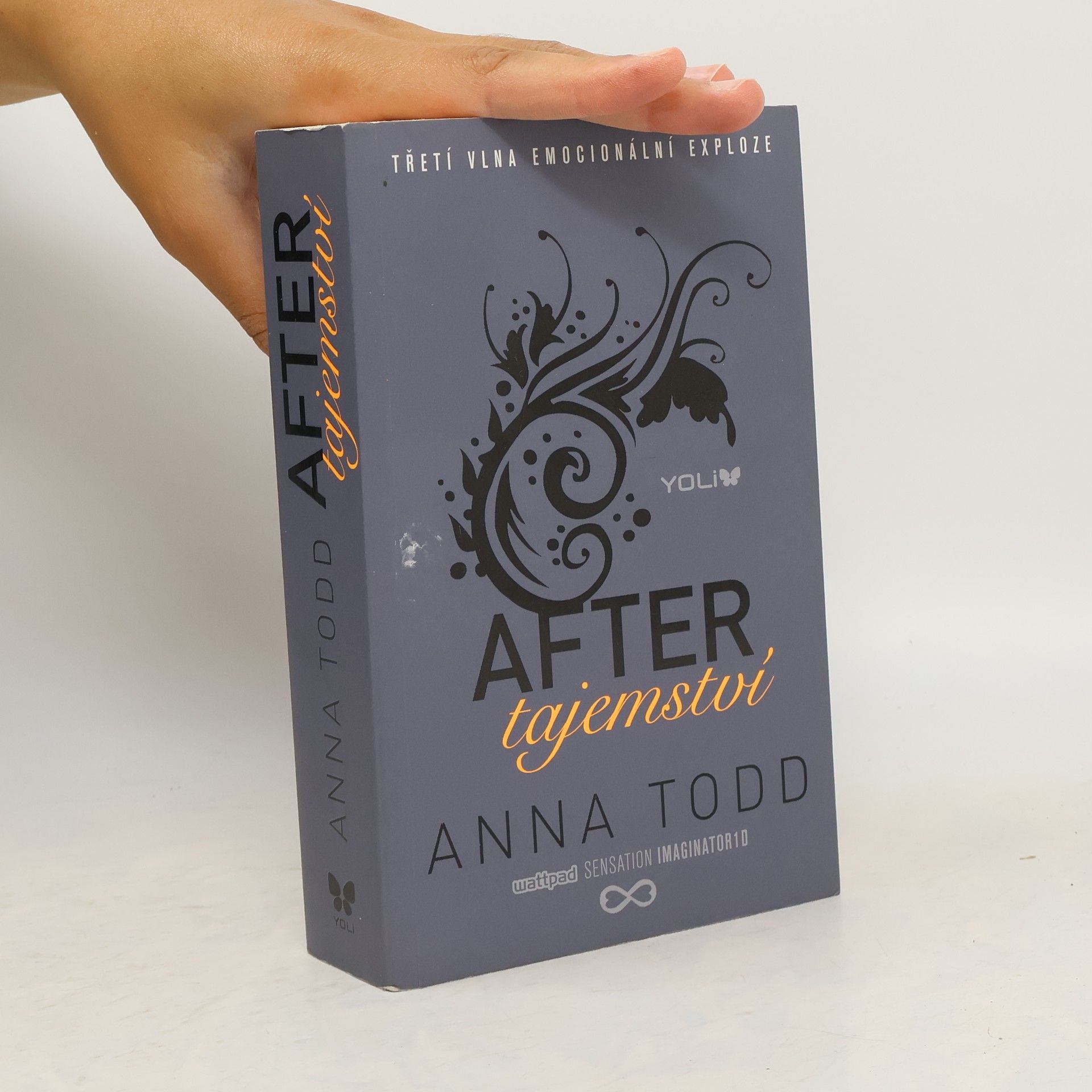 Anna Todd After. Tajemství