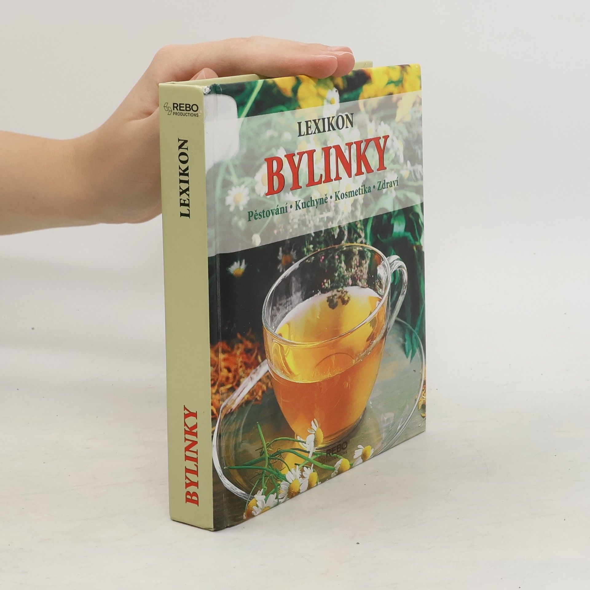 Andrea Rausch Bylinky