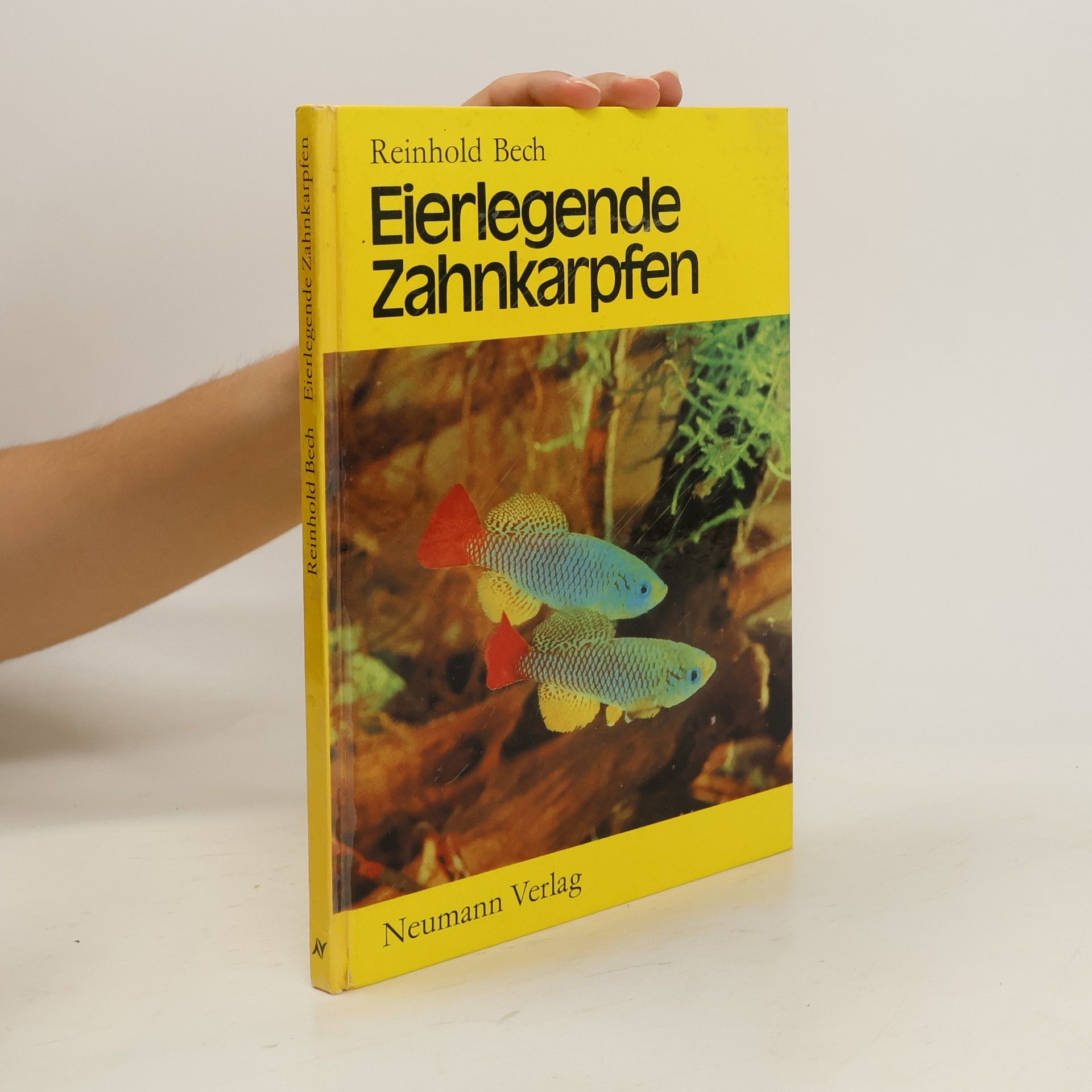 Reinhold Bech Eierlegende Zahnkarpfen
