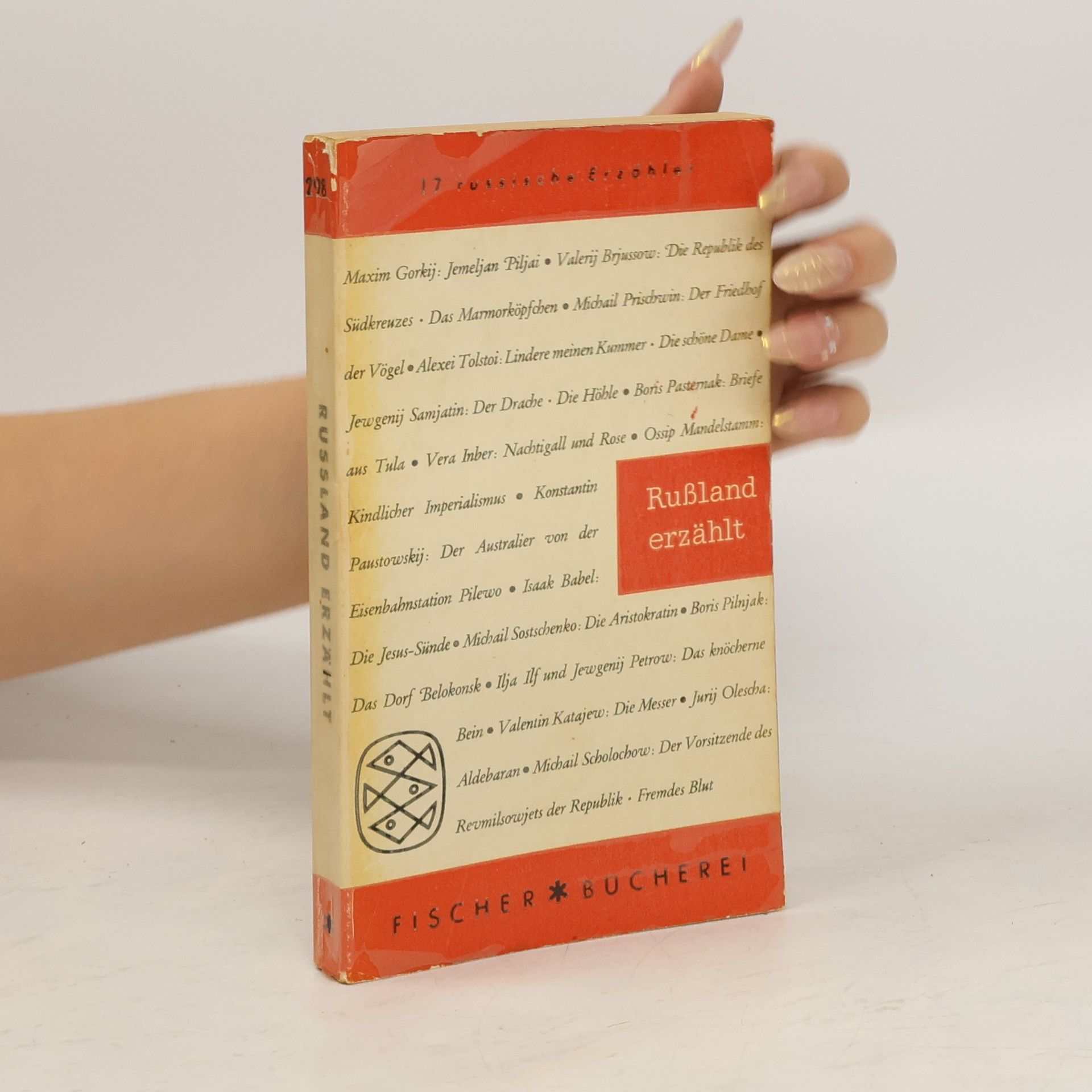 Collectif d'auteurs Russland erzählt