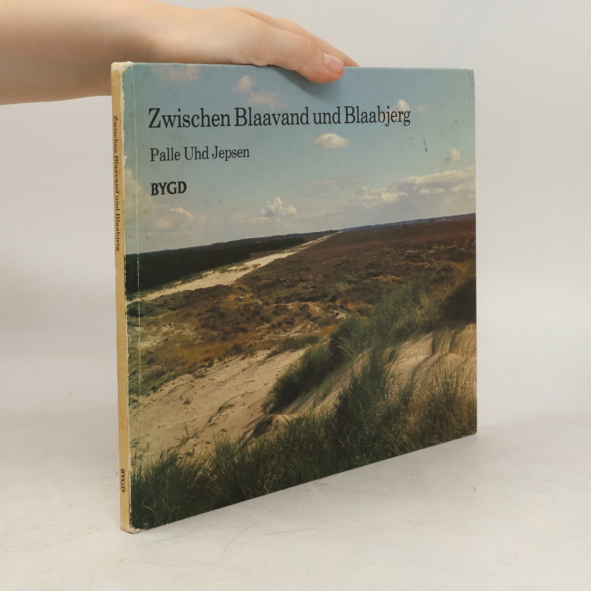 Palle Uhd Jepsen Zwischen Blaavand und Blaabjerg