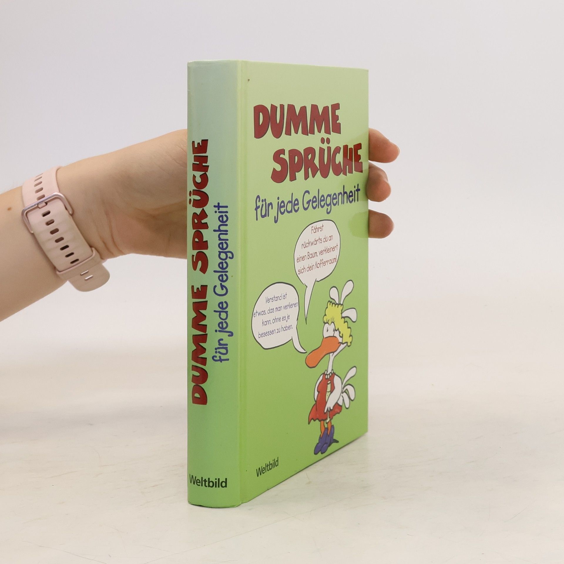 Harry G. Laber Dumme Sprüche für jede Gelegenheit