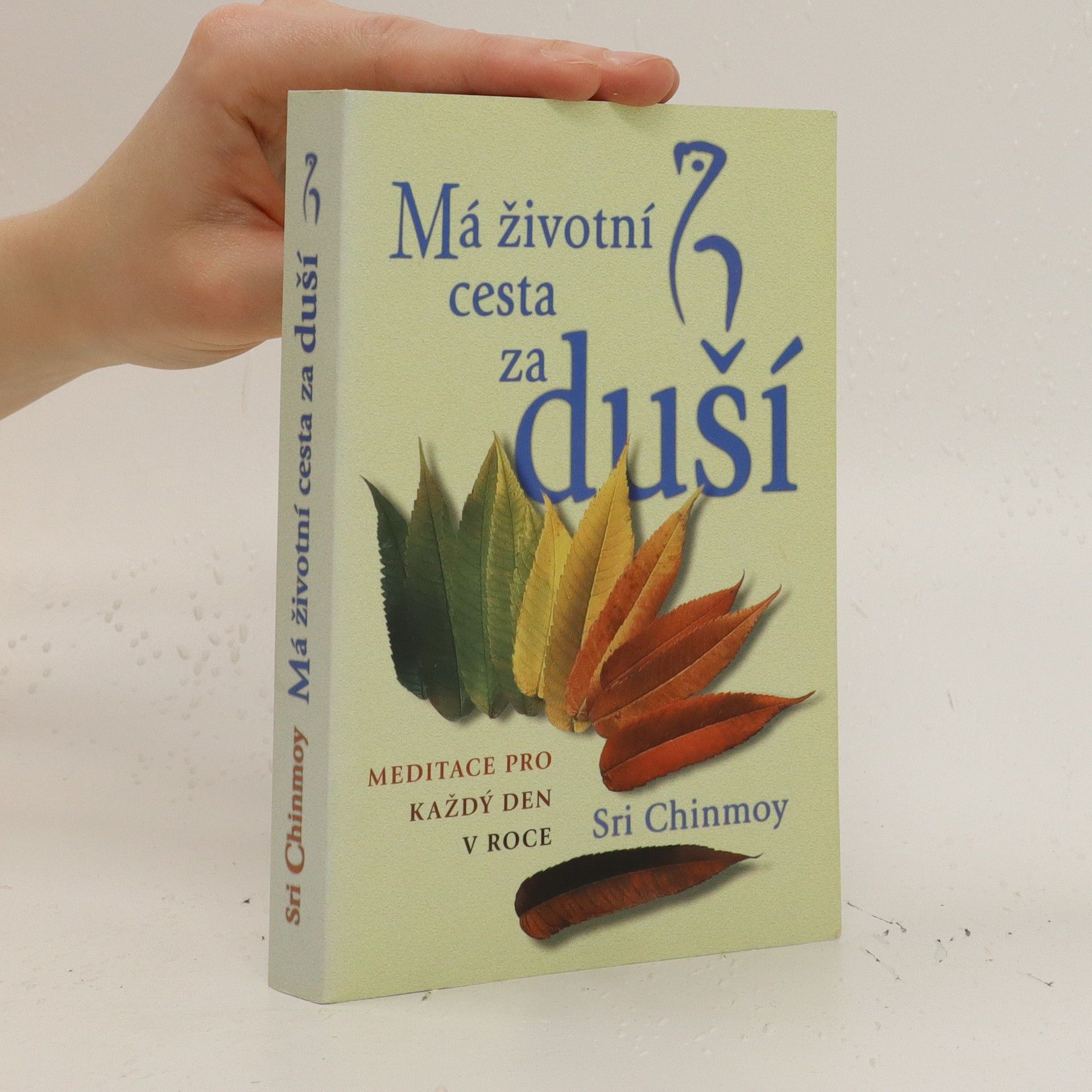 Šrí Činmoj Má životní cesta za duší : meditace pro každý den v roce
