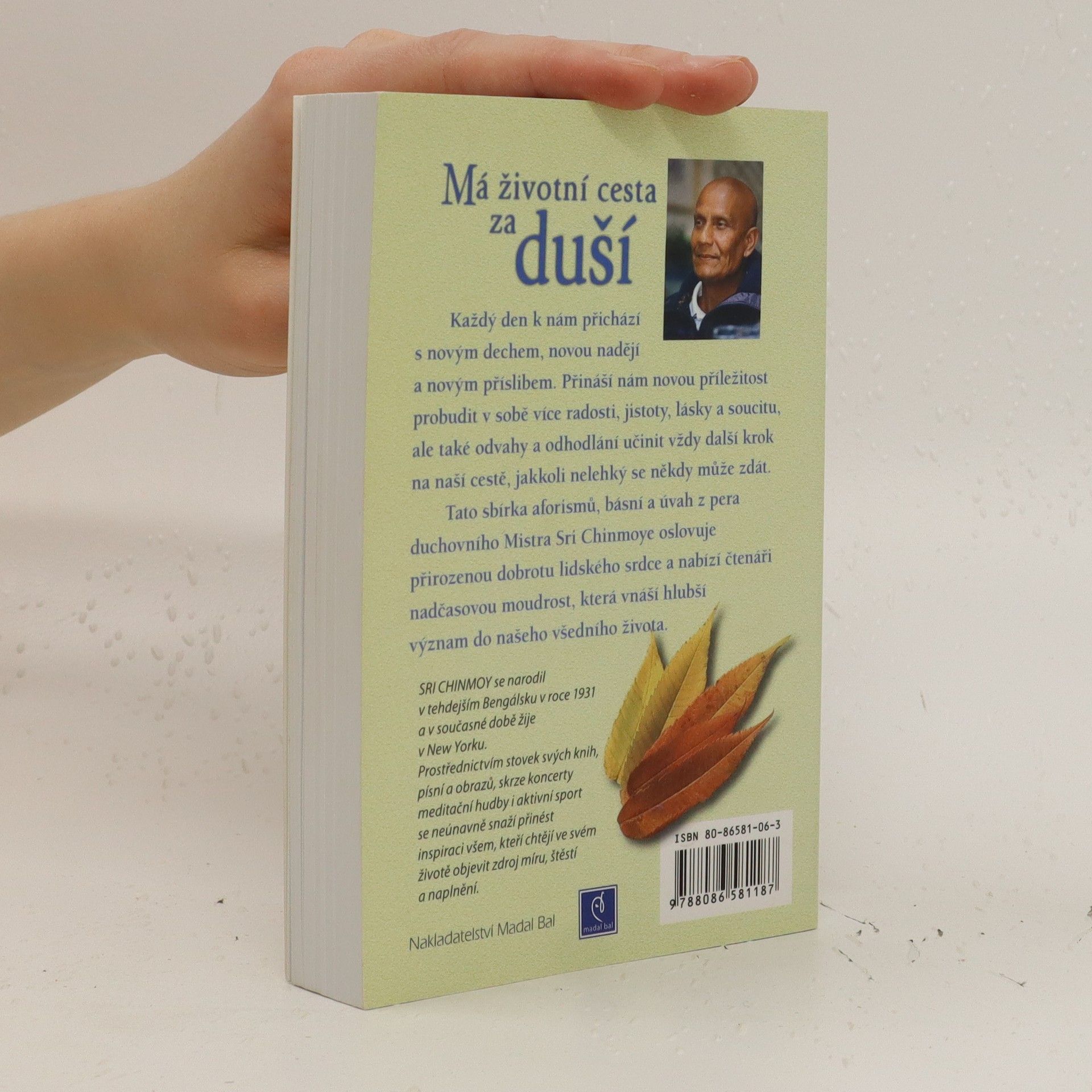 Šrí Činmoj Má životní cesta za duší : meditace pro každý den v roce