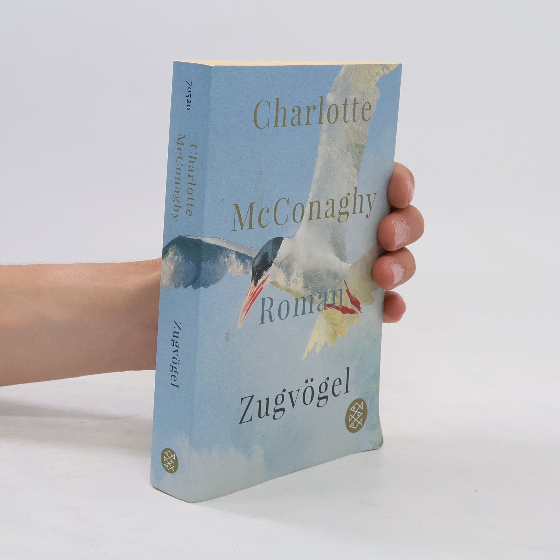 CHARLOTTE. MCCONAGHY Zugvögel