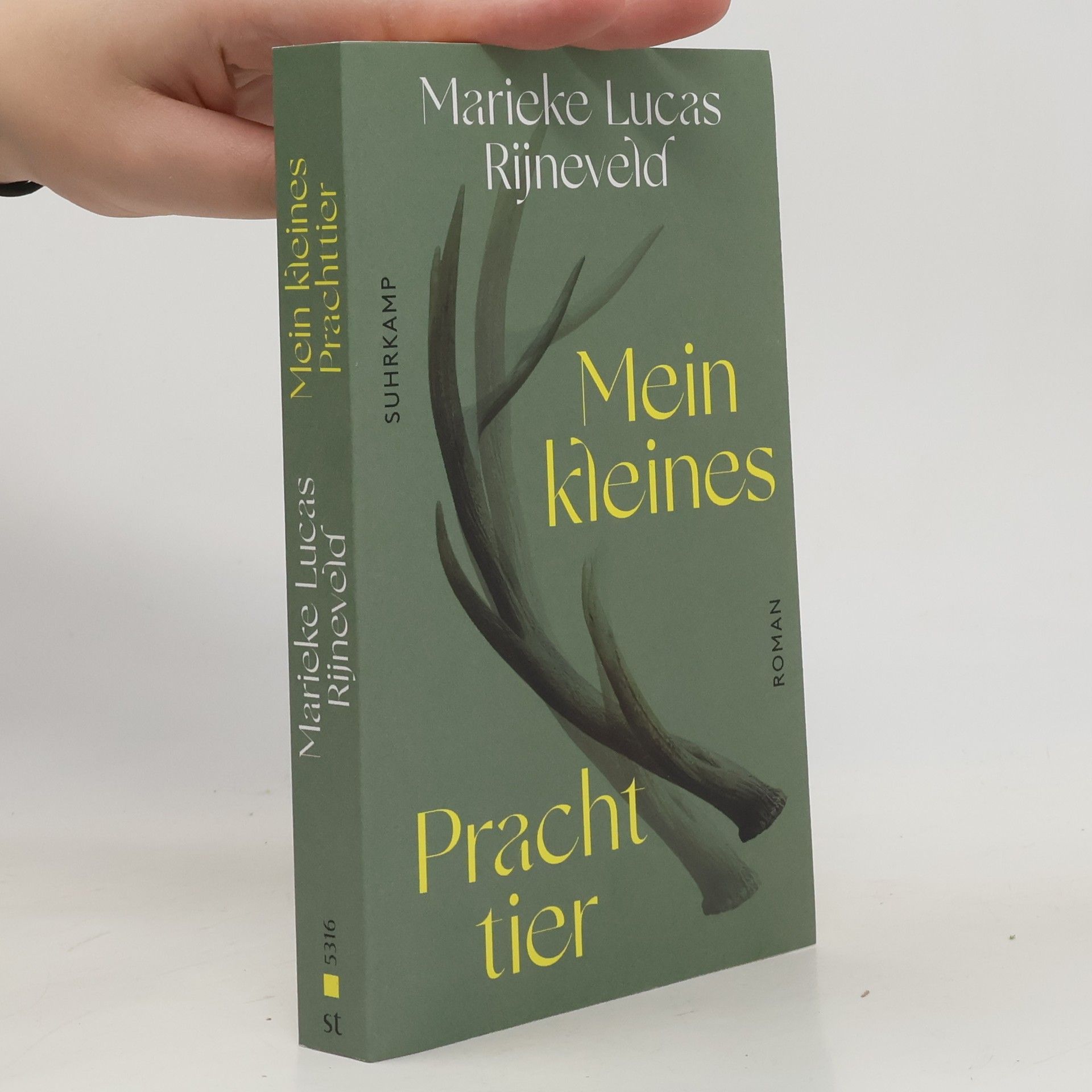 Marieke Lucas Rijneveld Mein kleines Prachttier