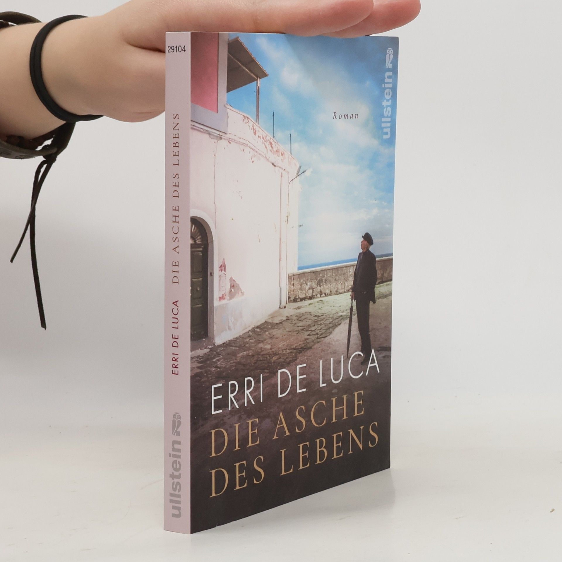 Erri De Luca Die Asche des Lebens