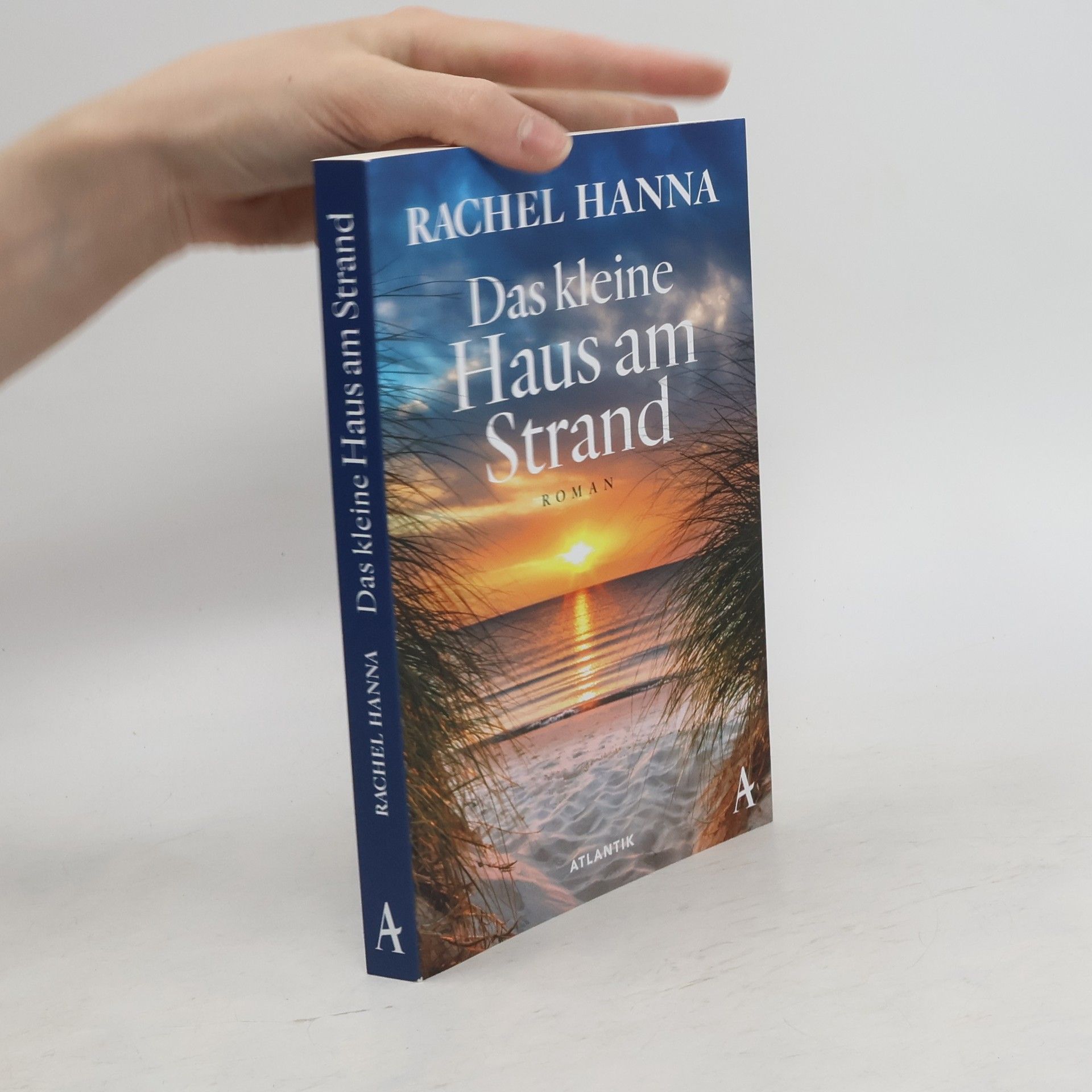 Rachel Hanna Das kleine Haus am Strand