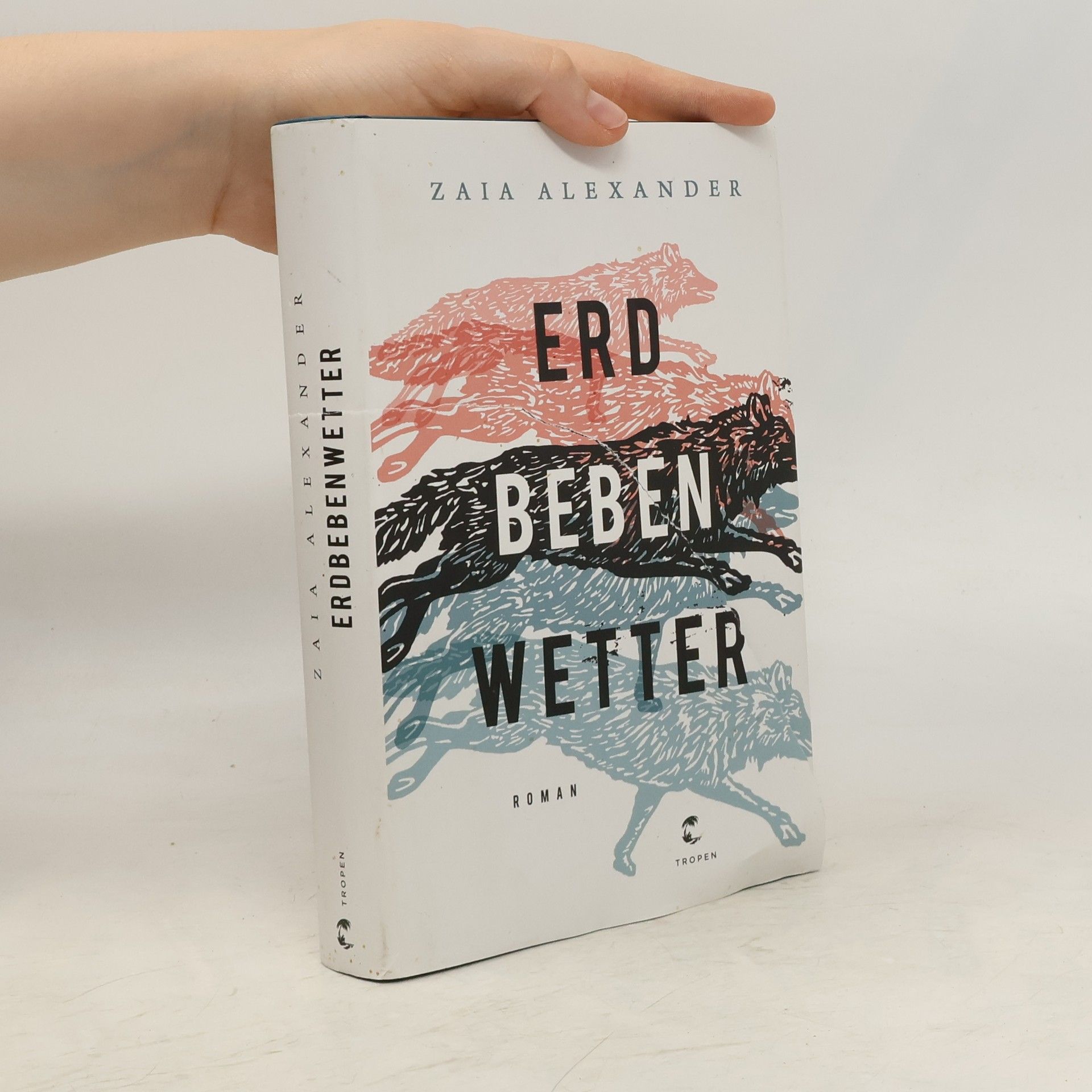 Zaia Alexander Erdbebenwetter
