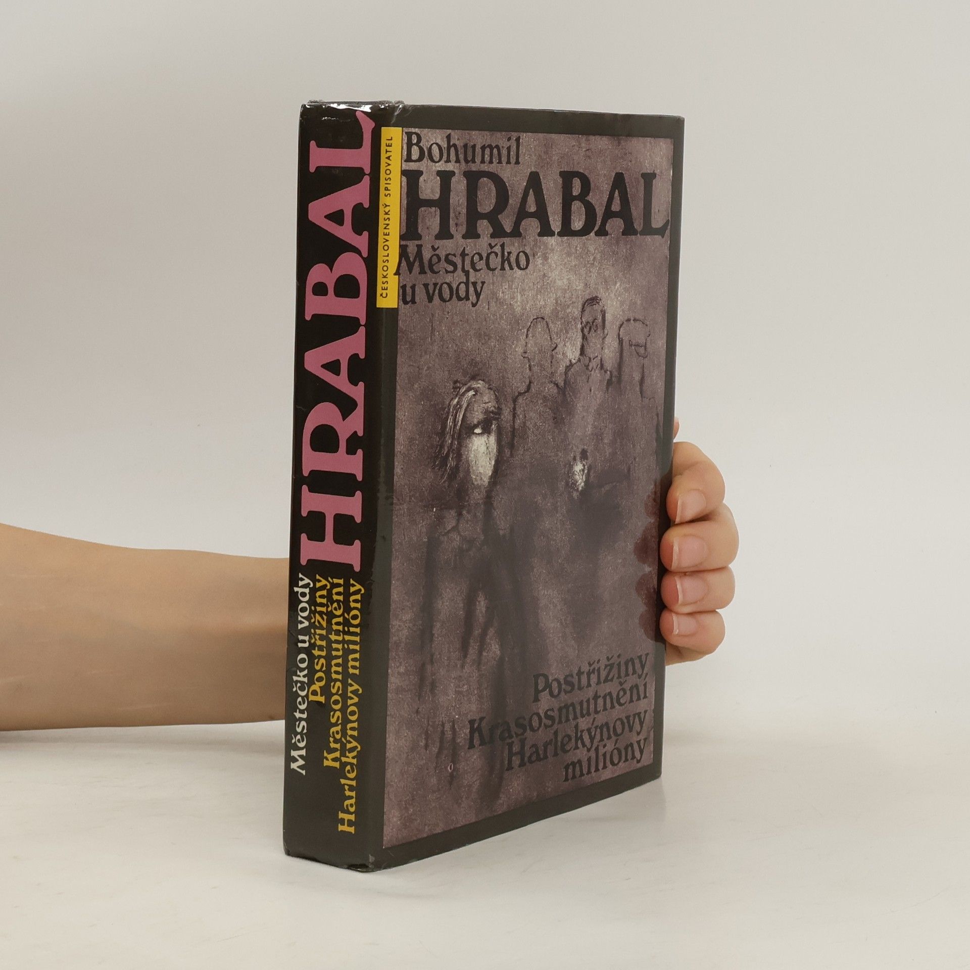 Bohumil Hrabal Městečko u vody