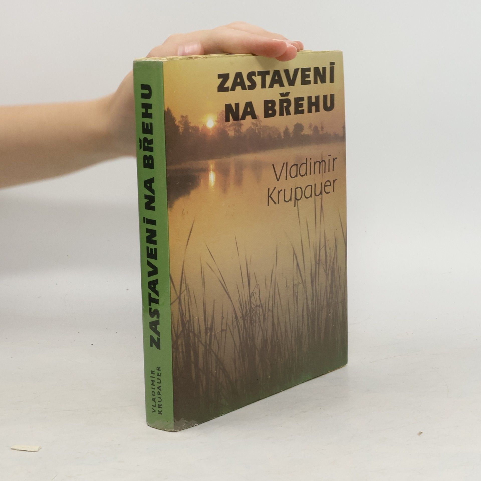 Vladimír Krupauer Zastavení na břehu