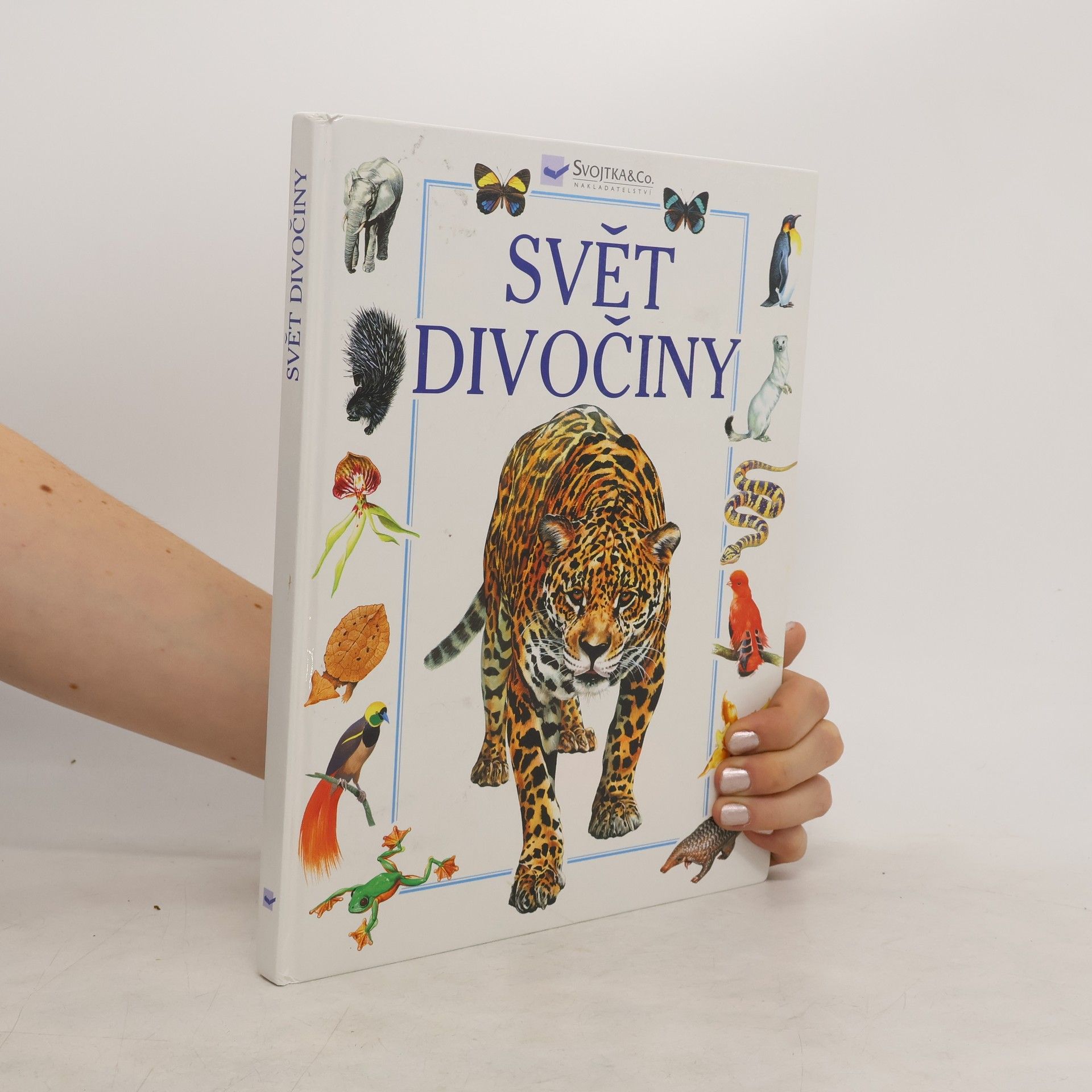 Andy Dixon Svět divočiny