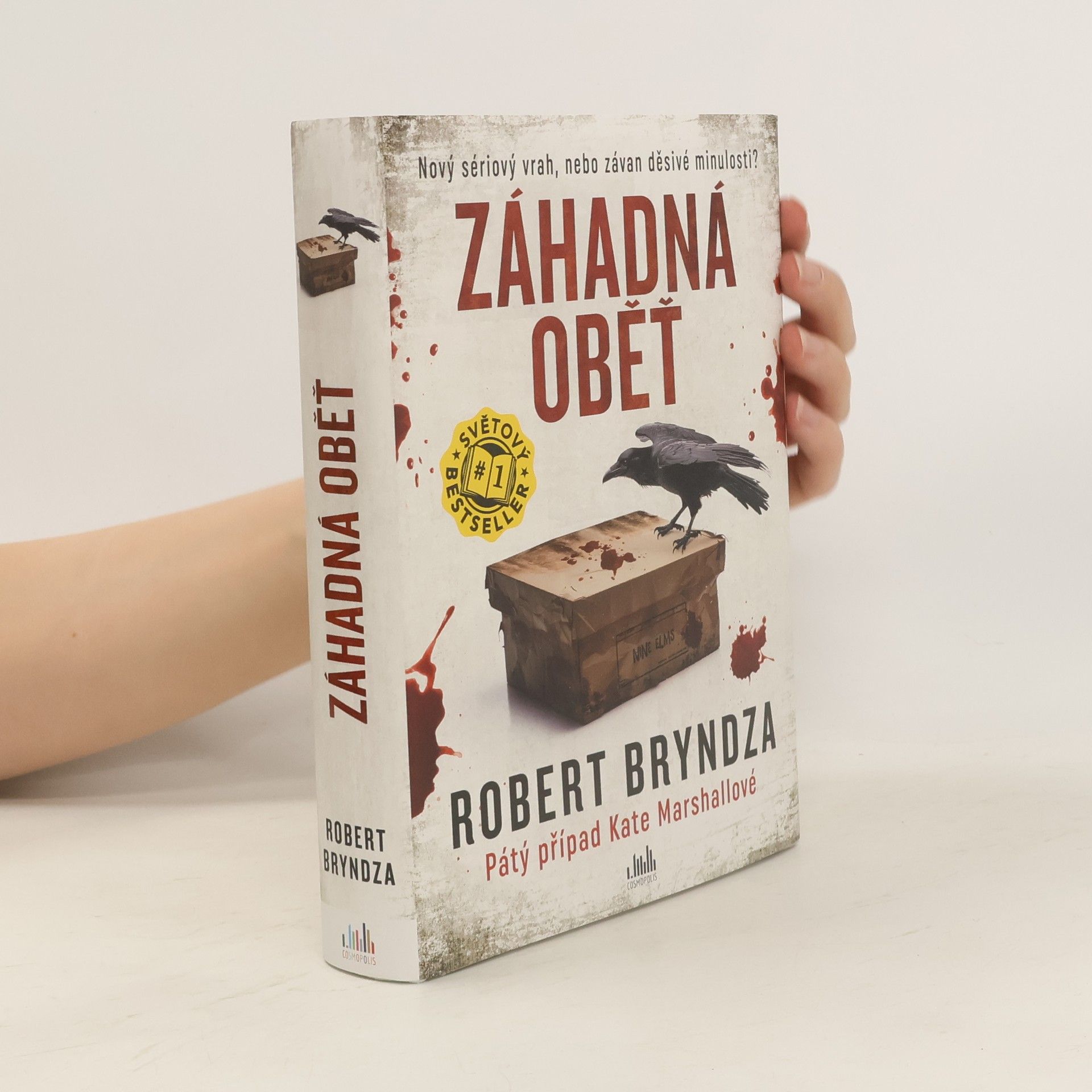 Robert Bryndza Záhadná oběť