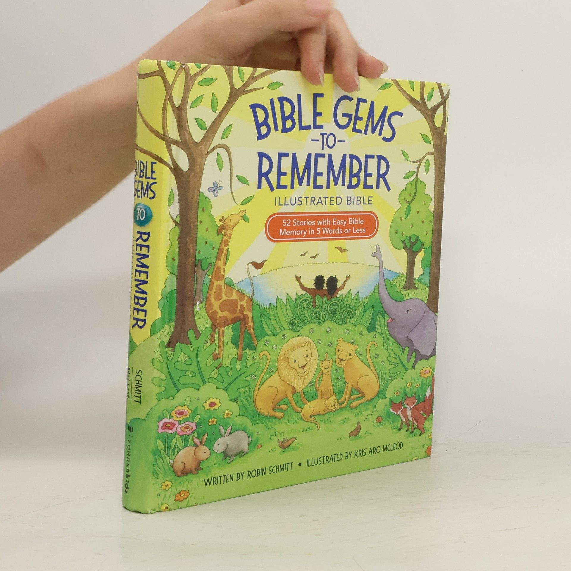 Robin Schmitt Bible Gems to Remember Illustrated Bible