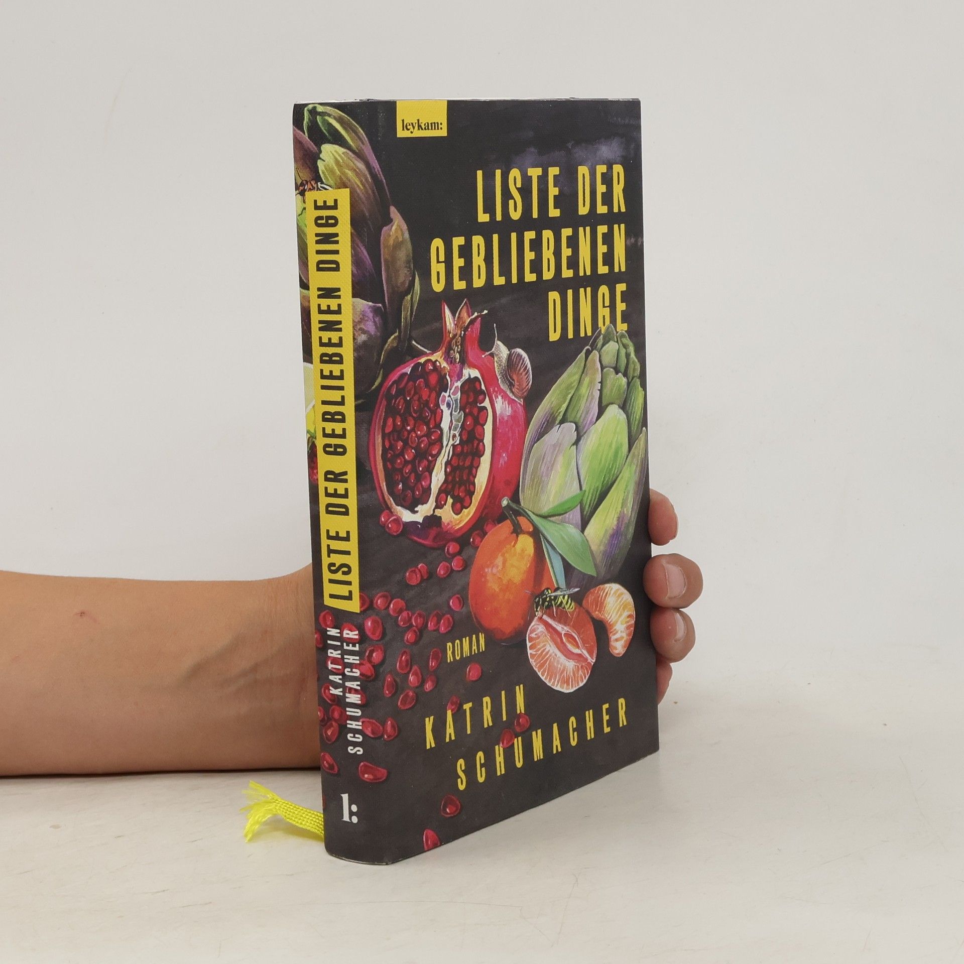 Katrin Schumacher Liste der gebliebenen Dinge