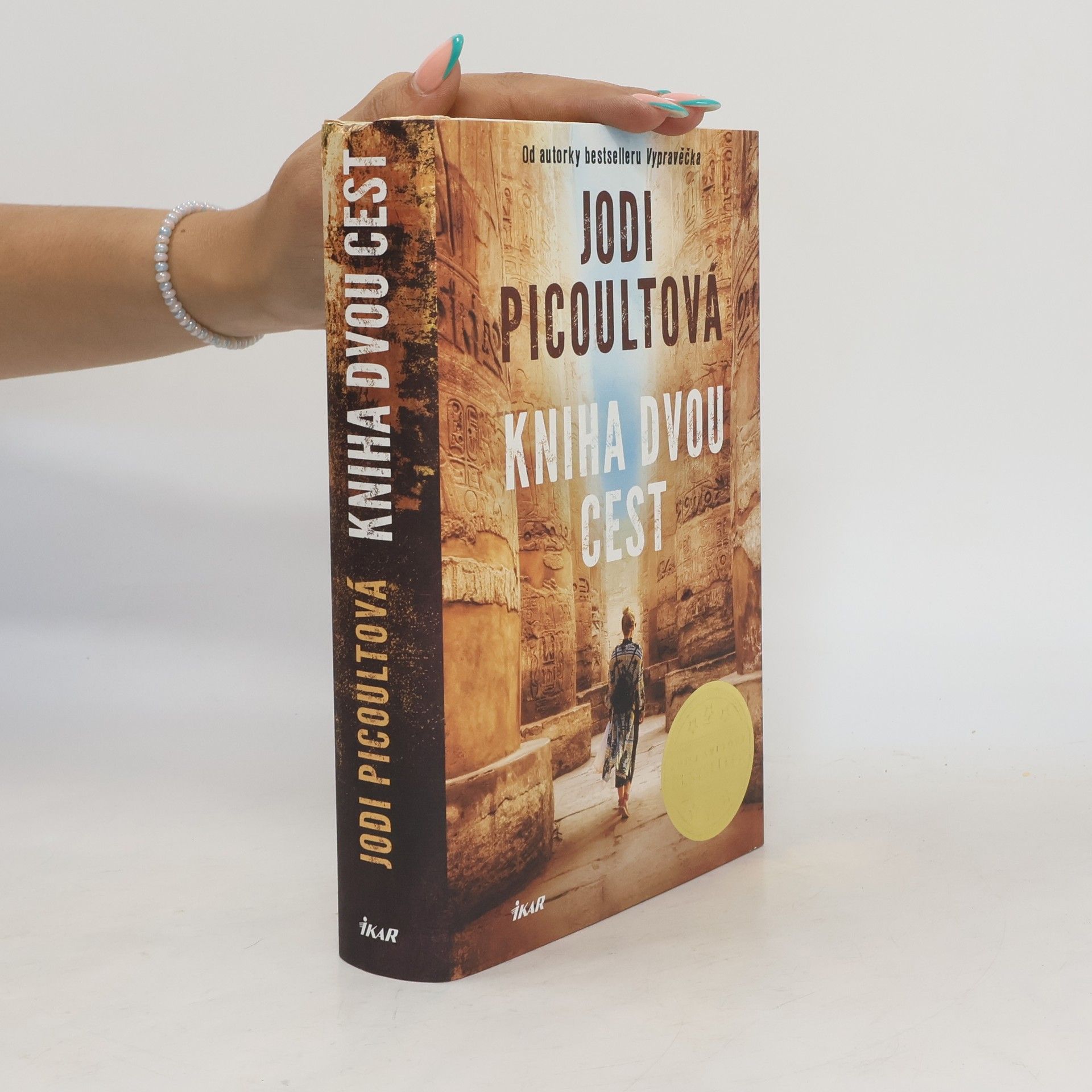 Jodi Picoult Kniha dvou cest