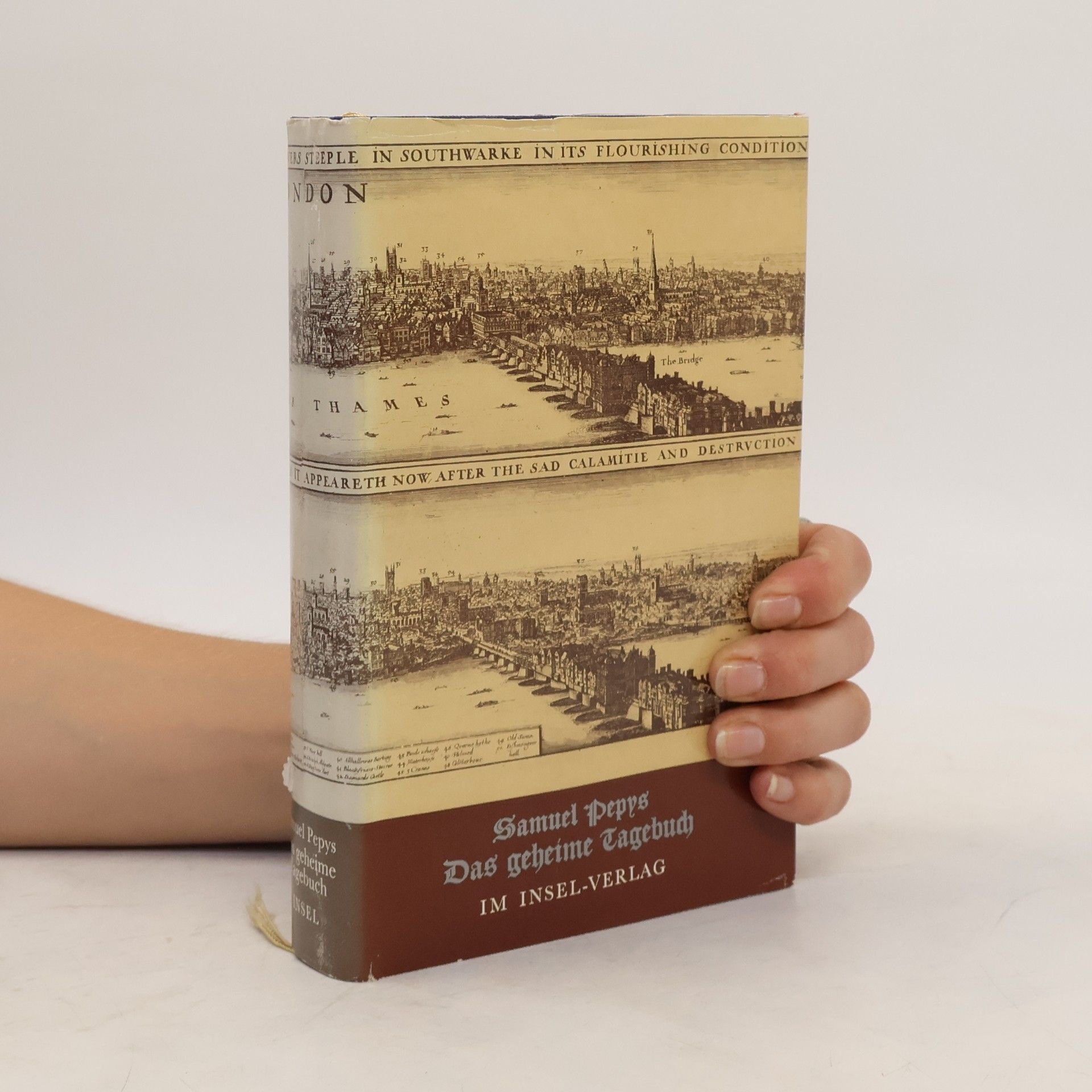 Samuel Pepys Das geheime Tagebuch