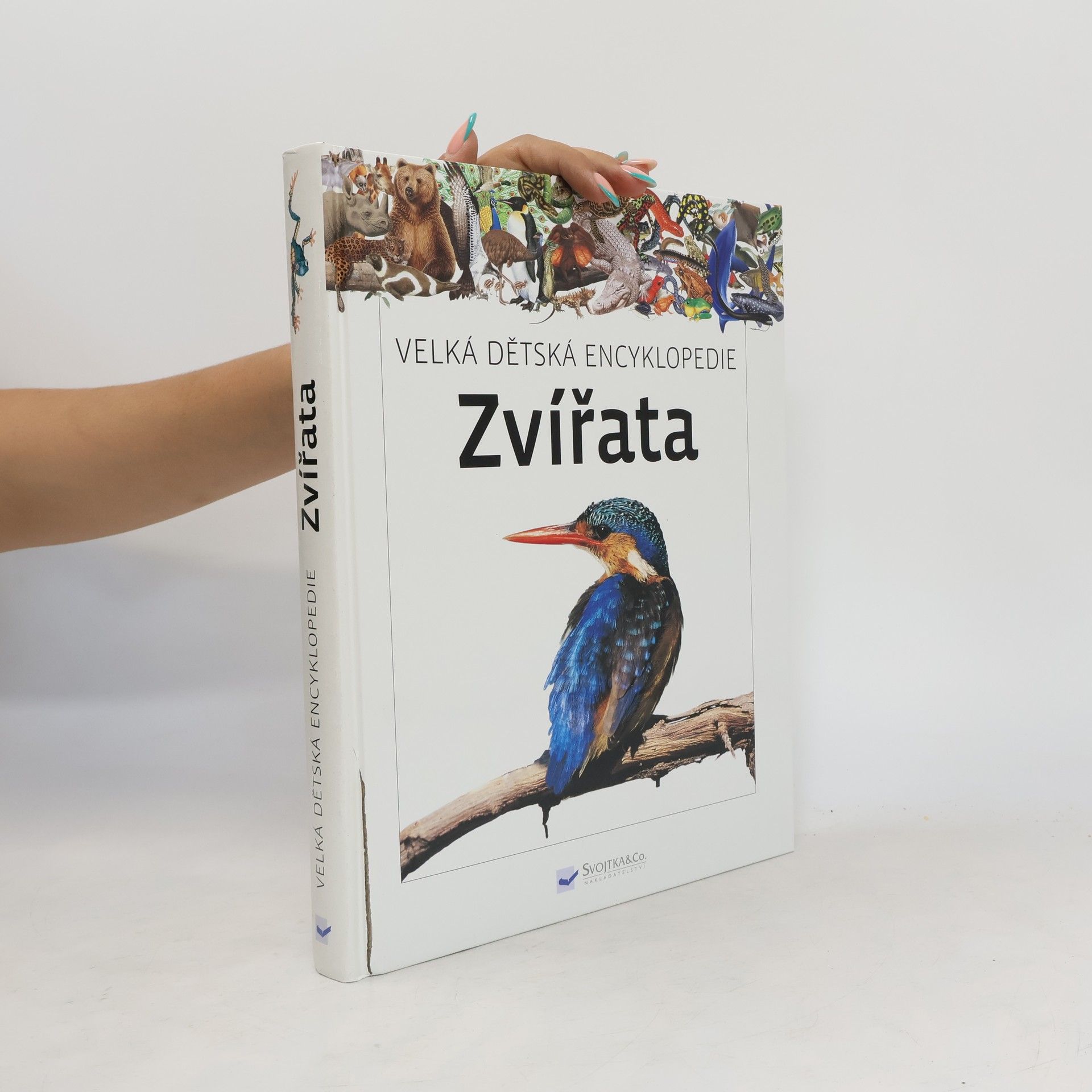 Collectif d'auteurs Velká dětská encyklopedie: Zvířata