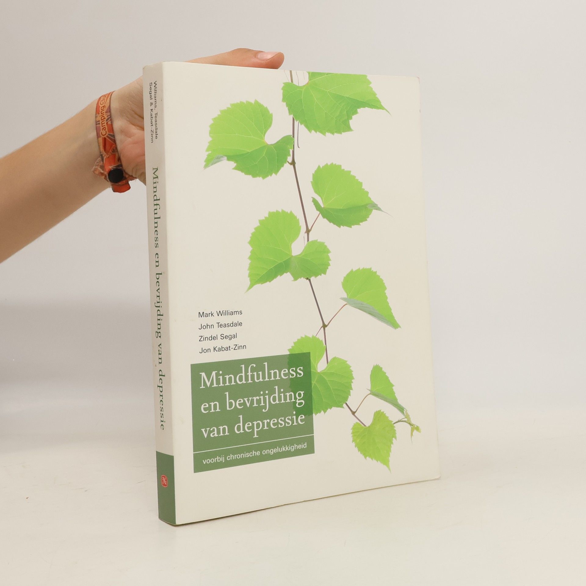 Mark Williams Mindfulness en bevrijding van depressie