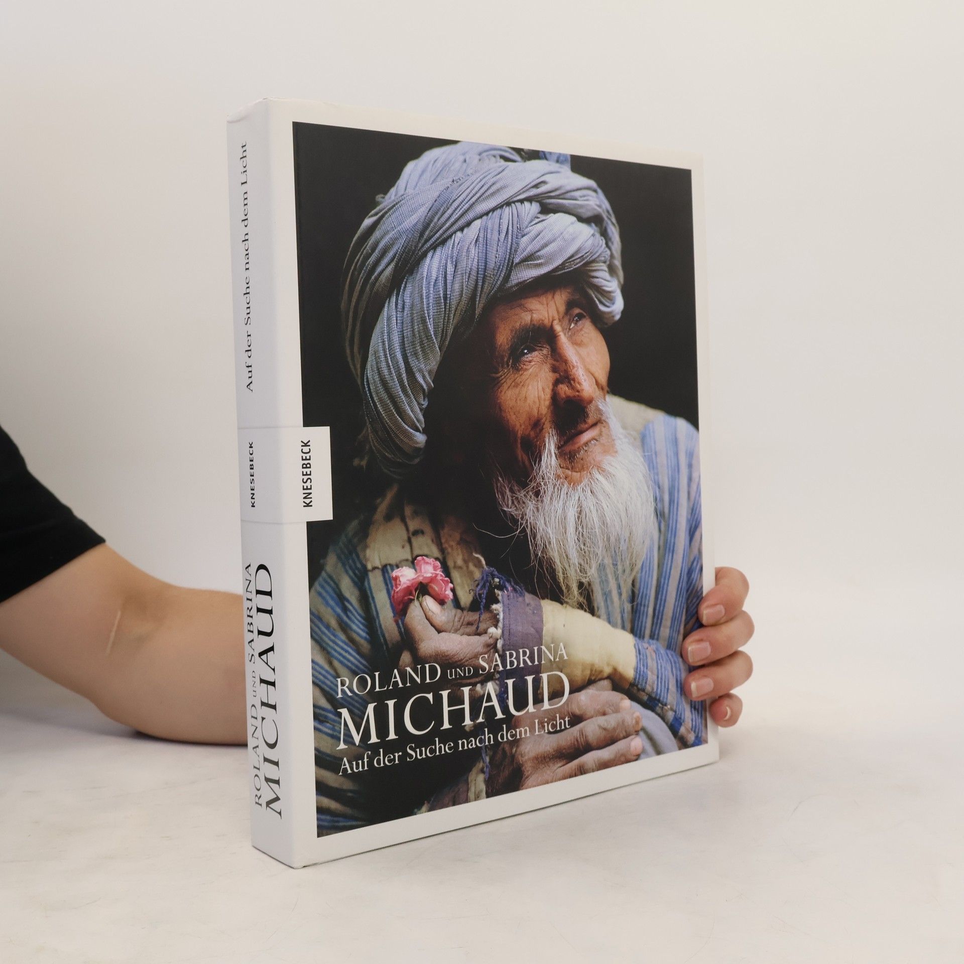 Roland Michaud Auf der Suche nach dem Licht
