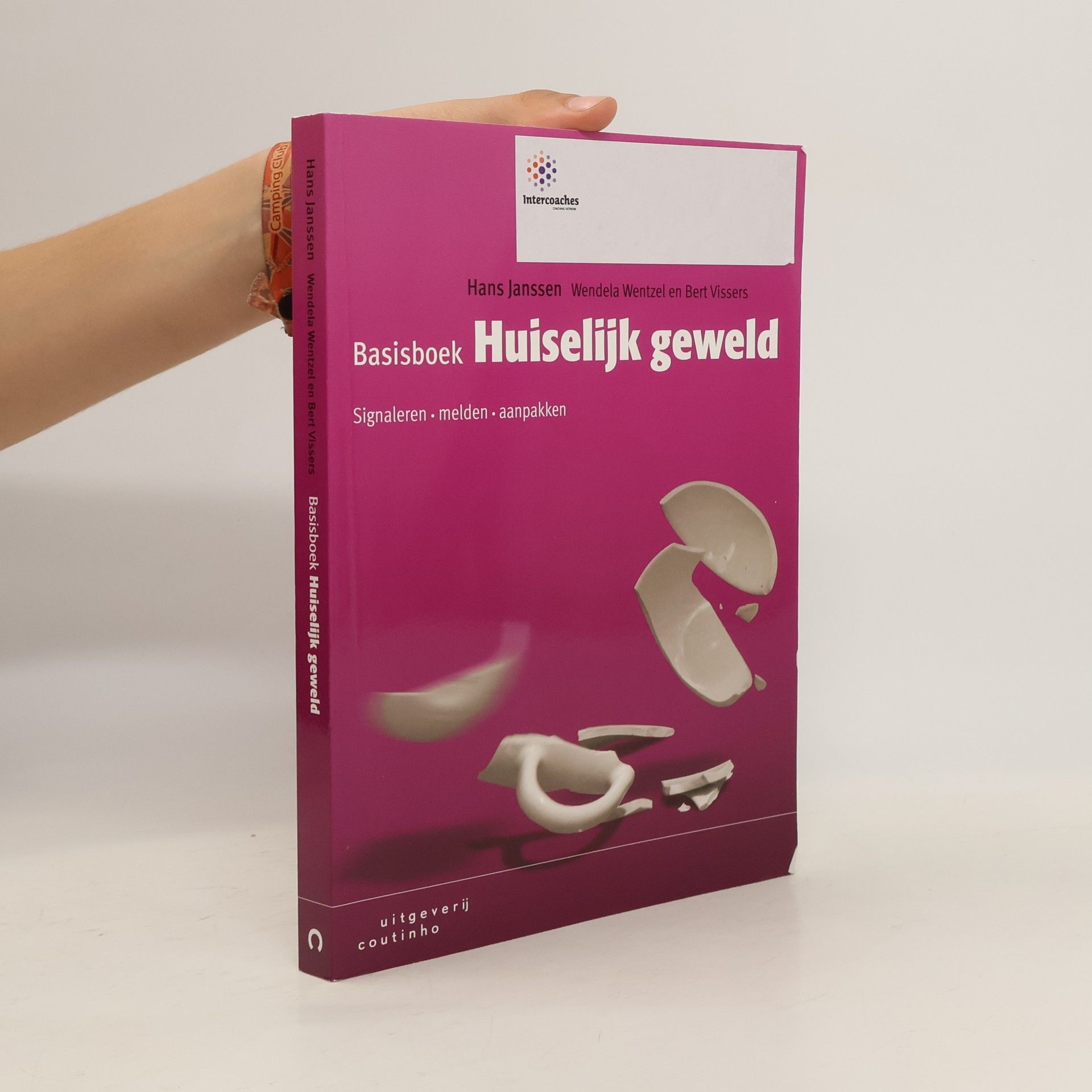 Hans Janßen Basisboek huiselijk geweld