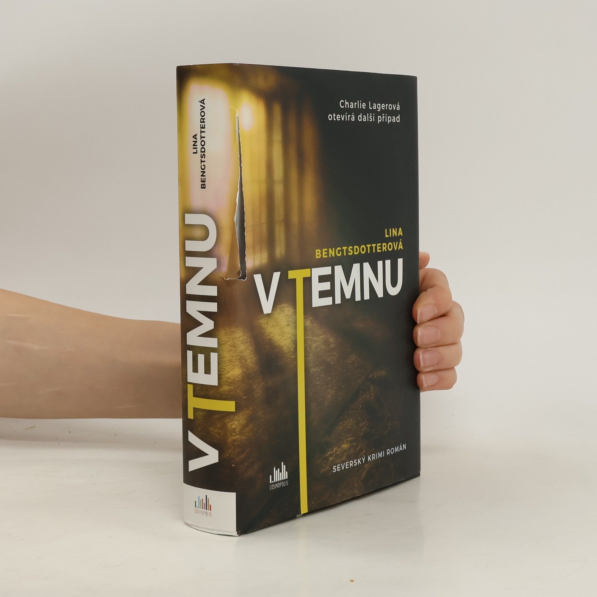 Lina Bengtsdotter V temnu