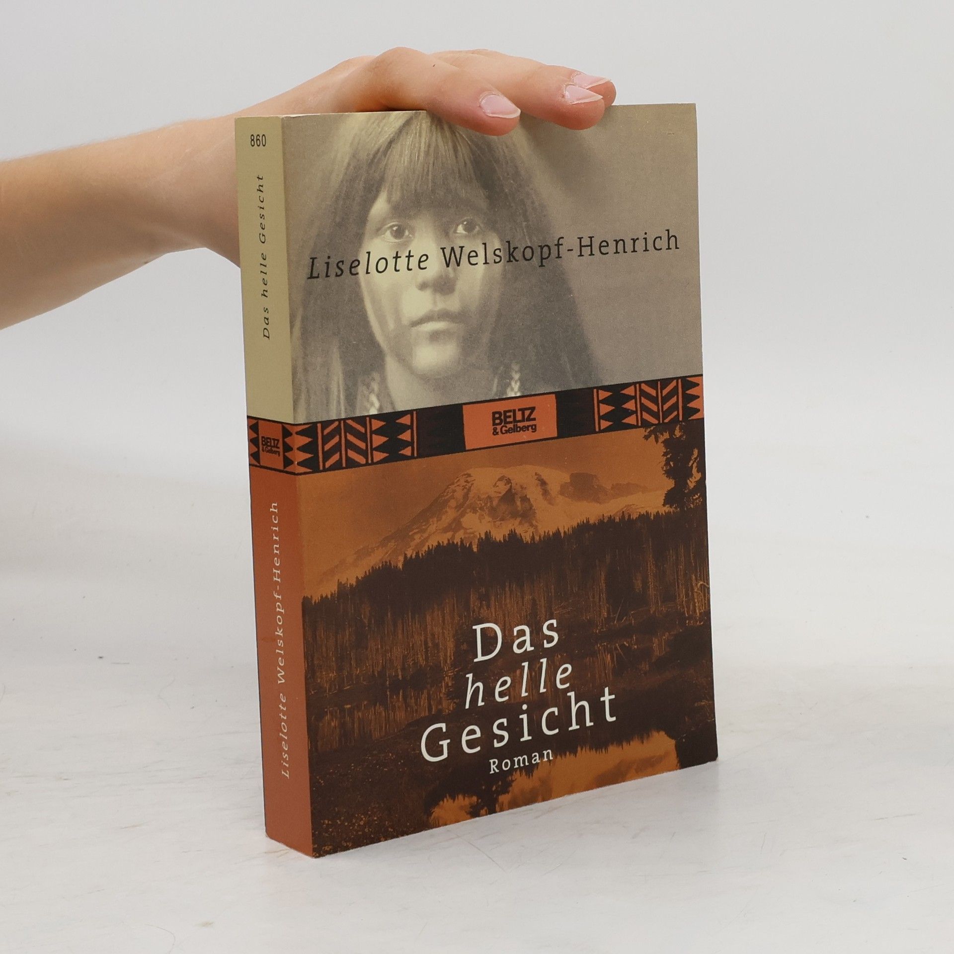 Liselotte Welskopfová-Henrichová Das Blut des Adlers