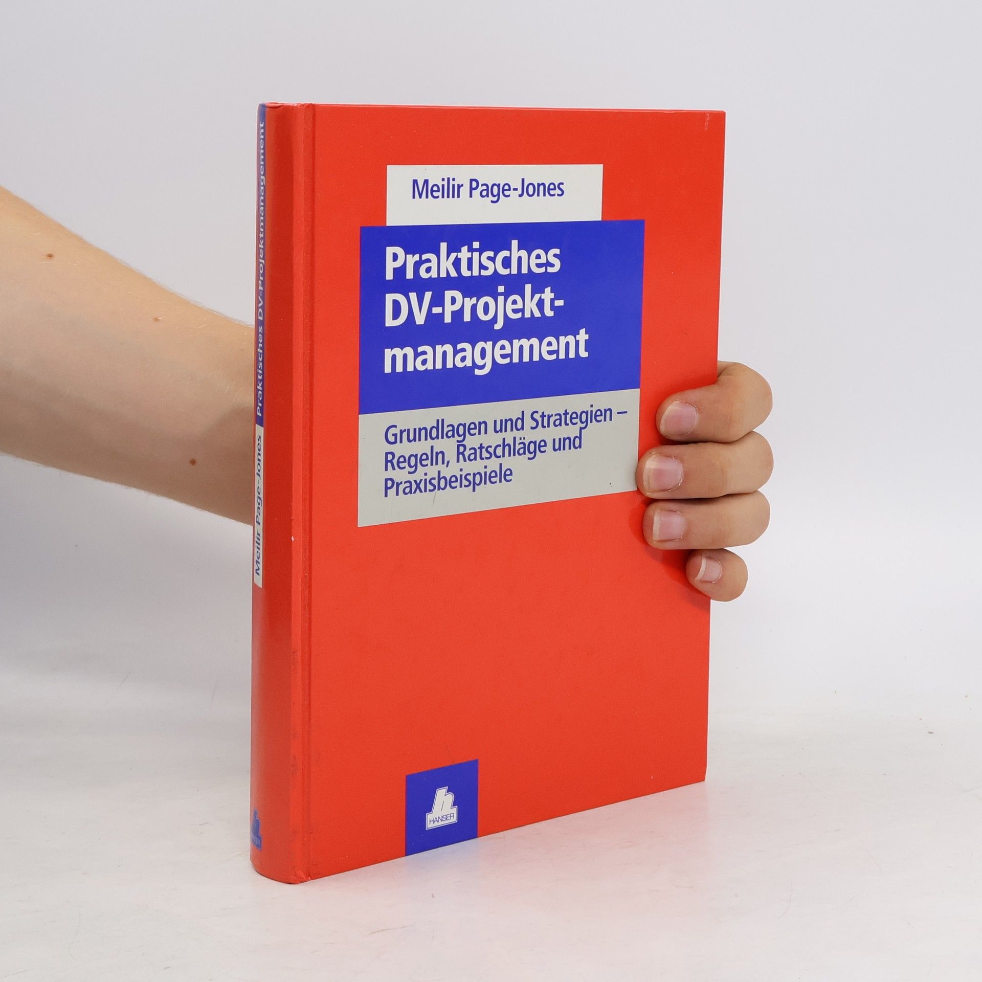 Meilir Page-Jones Praktisches DV-Projektmanagement