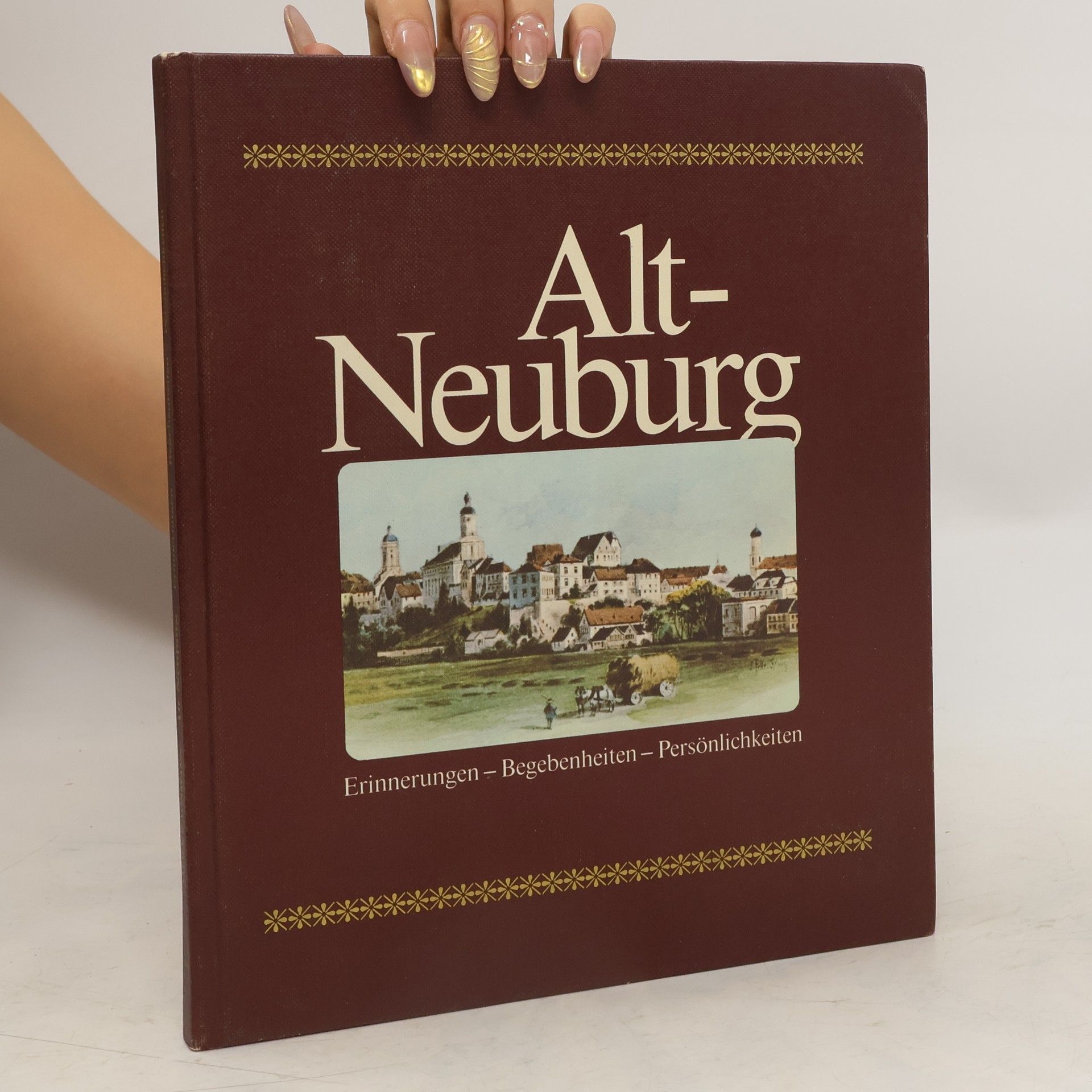 Collectif d'auteurs Alt-Neuburg