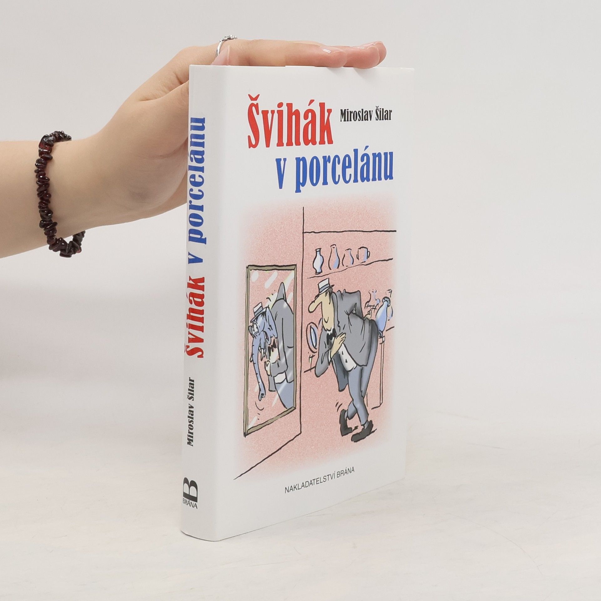 Miroslav Šilar Švihák v porcelánu