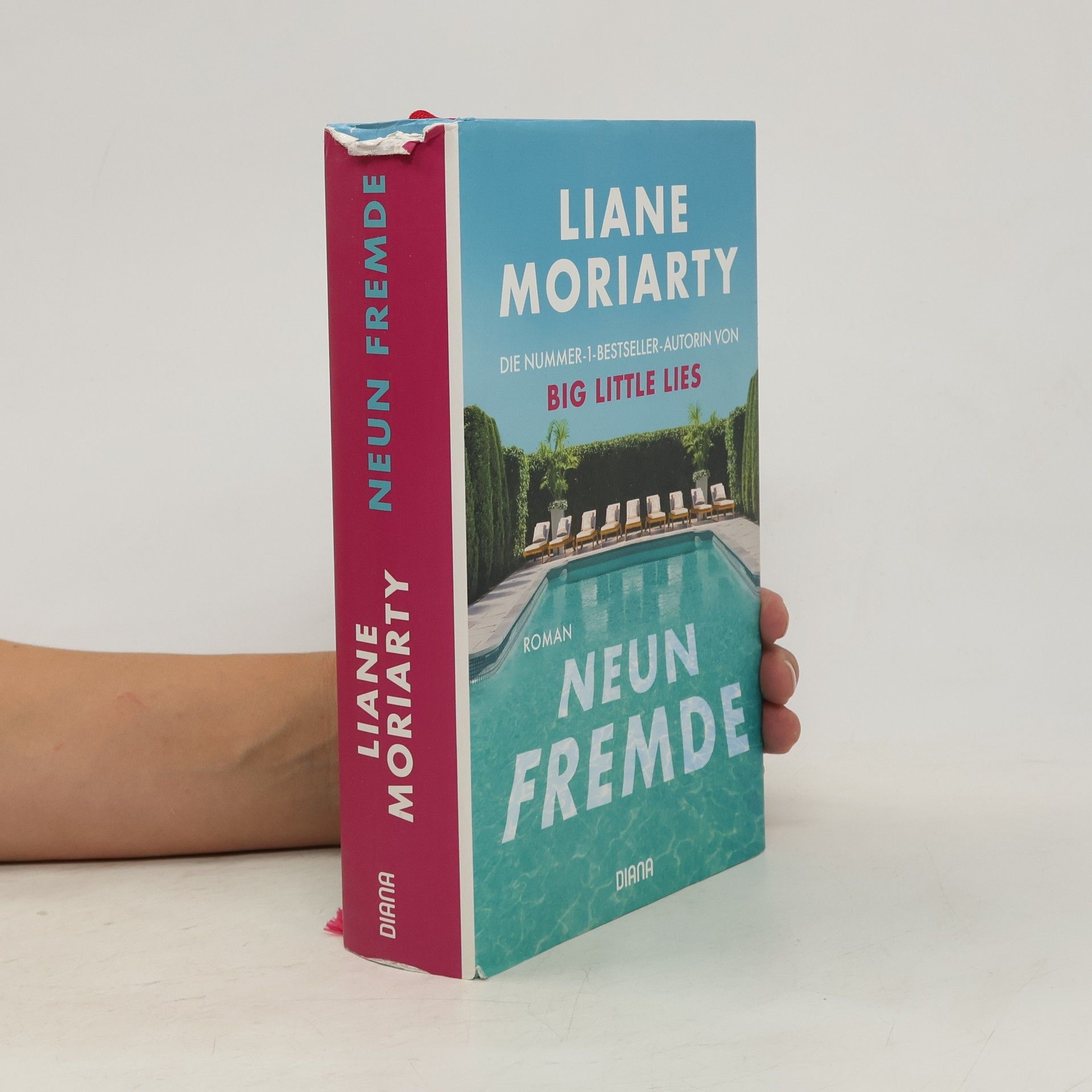 Liane Moriarty Neun Fremde