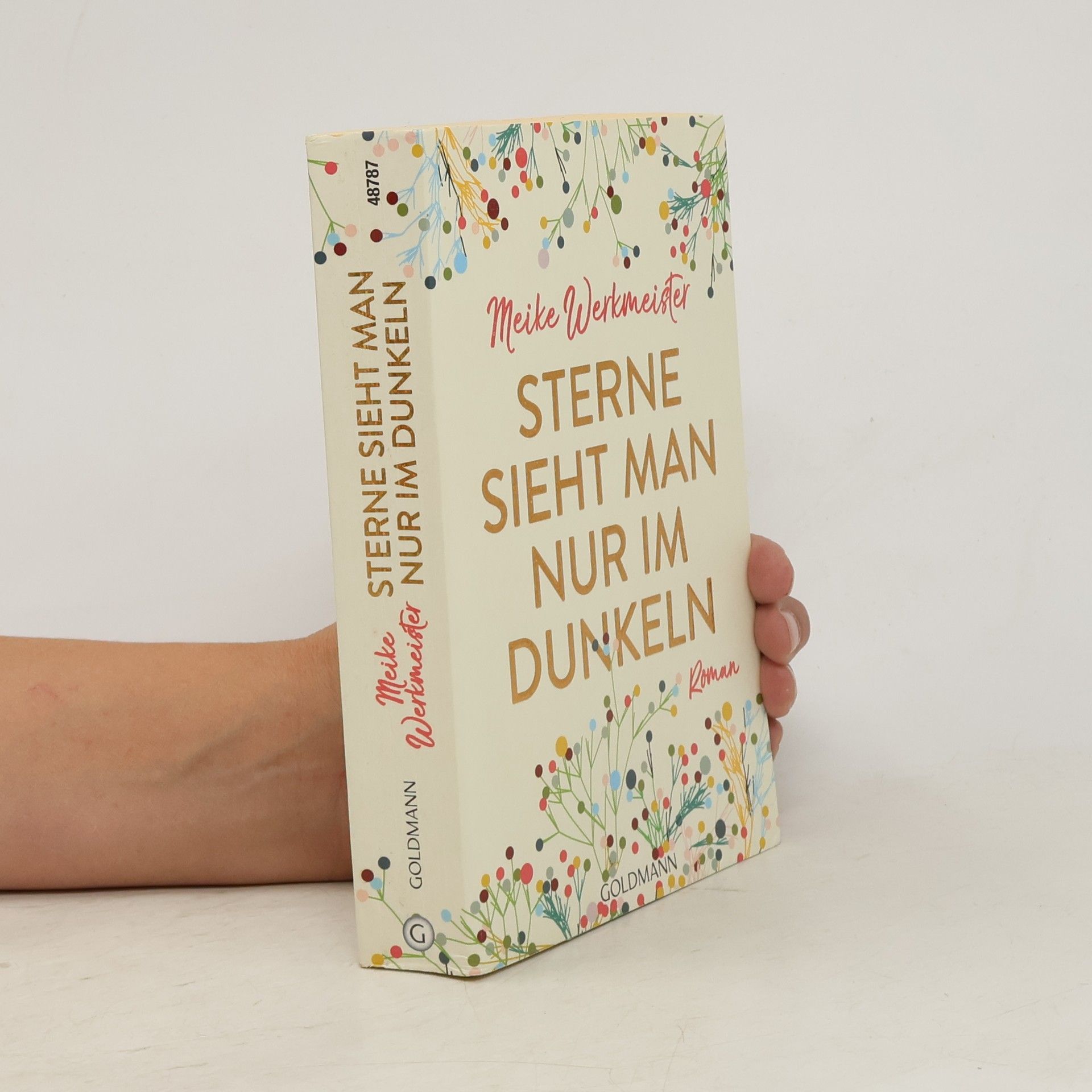 Meike Werkmeister Sterne sieht man nur im Dunkeln